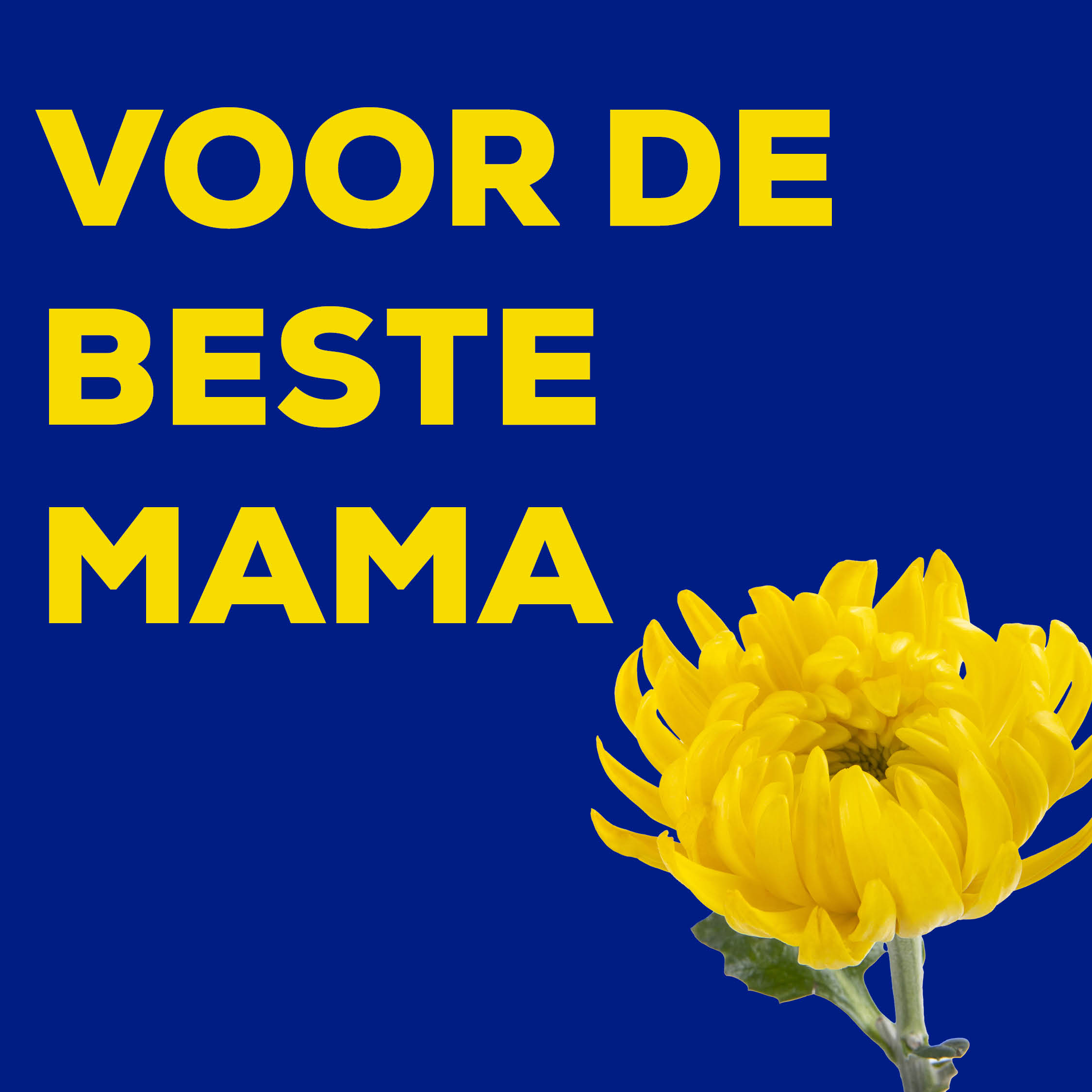 Digitale cadeaubon 10