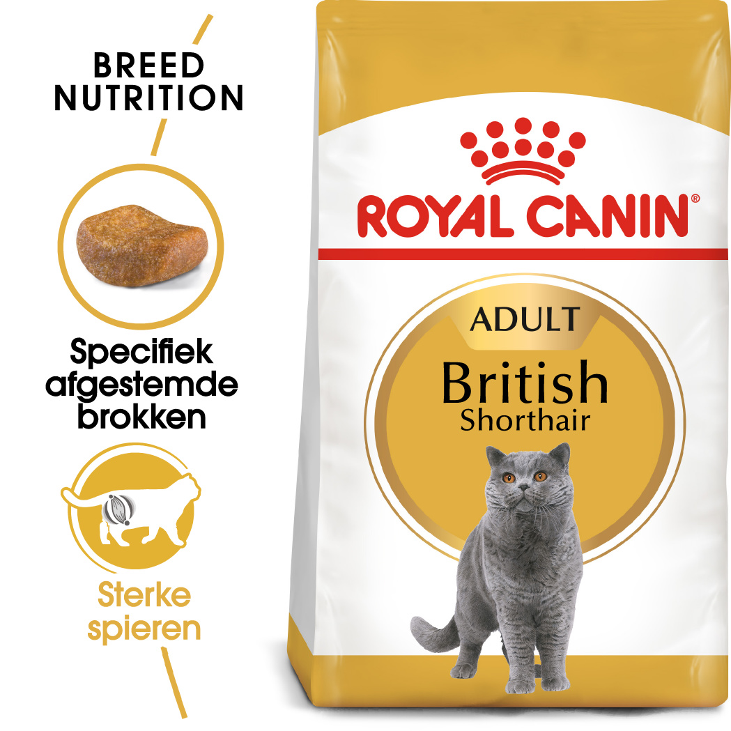 Royal Canin British Shorthair Kattenvoer 4 kg