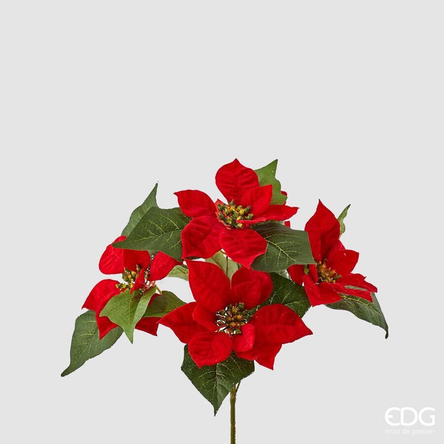 EDG Kerstster Rood 30cm