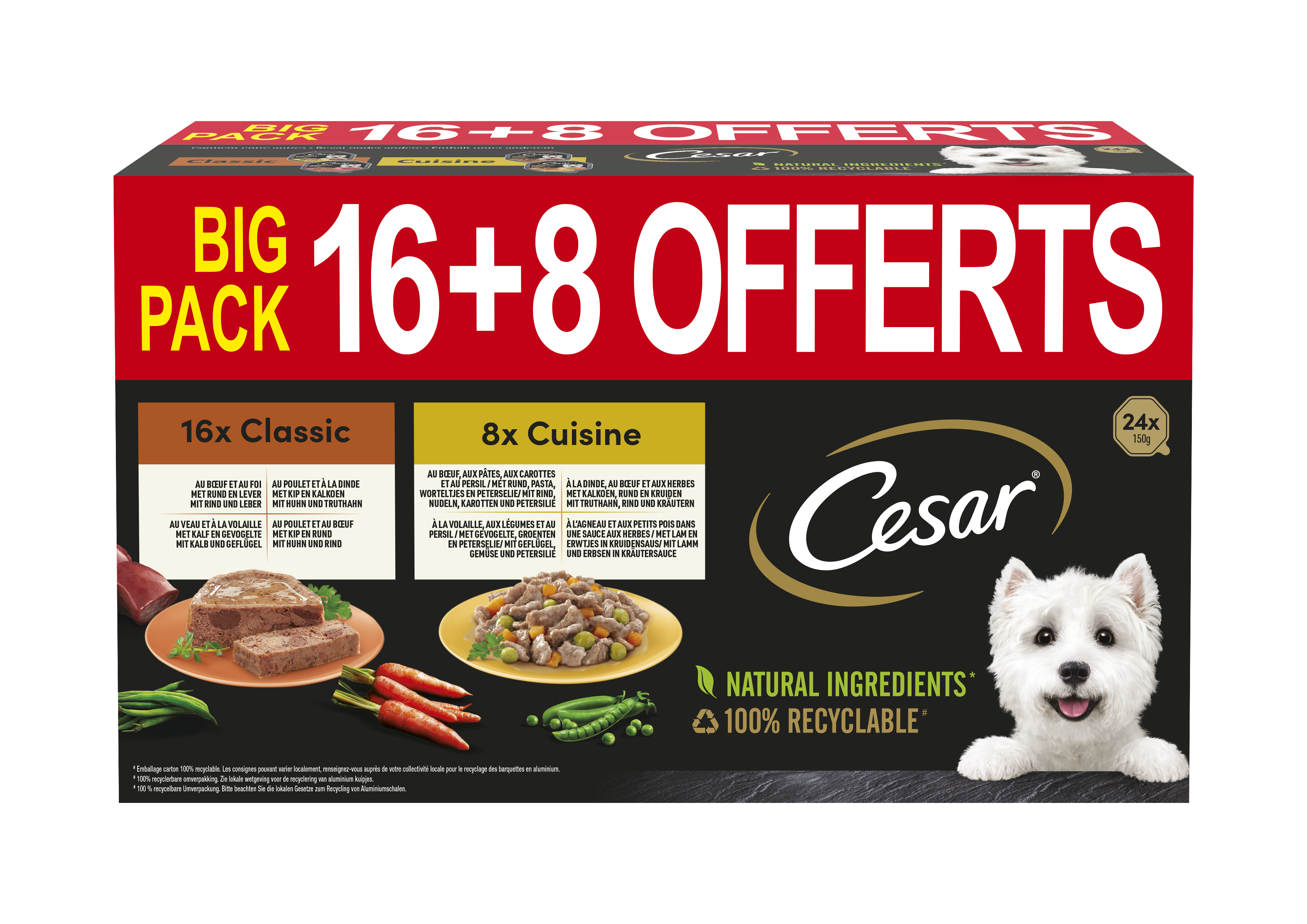 Cesar Alu Pack 16+8 Gratis