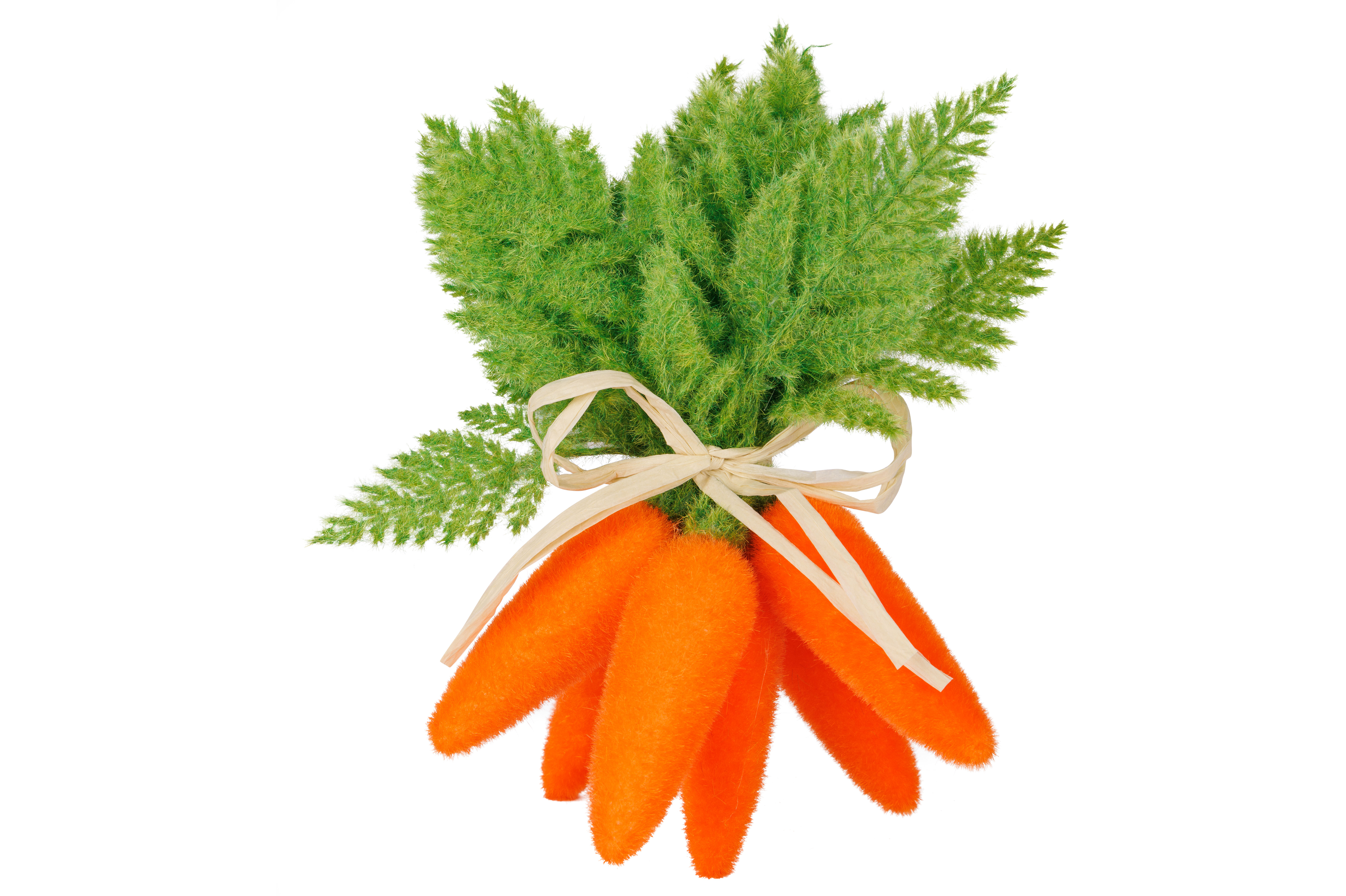Cosy@Home Bundel Wortels Flocked Oranje 15x27 cm