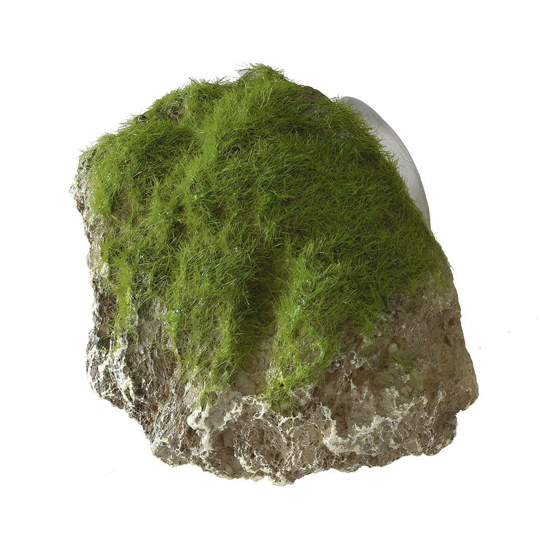 Aqua Della Moss Stone with Suction Cup XS