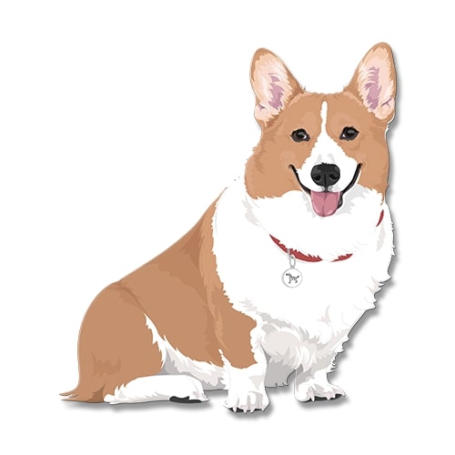 Dogdogo Buddy Magneet S Corgi