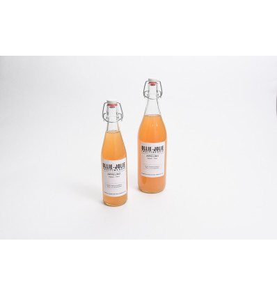 Ollie-Jolie Fruitinfusie Beugelfles 1 l Appelino - Appel & Peer