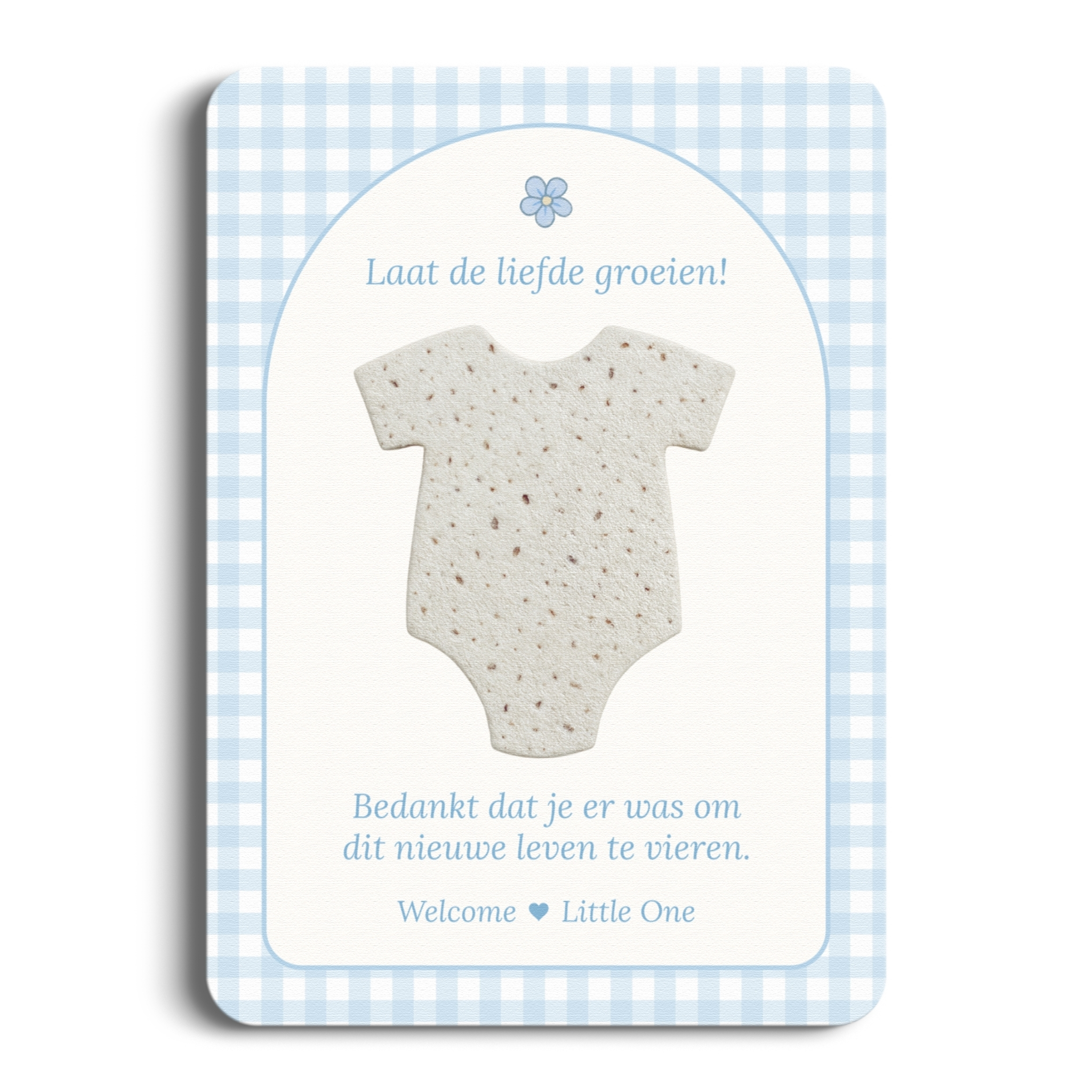 Studio Miron Wenskaart Bedankkaart Groeipapier Gingham Blauw - 5 stuks