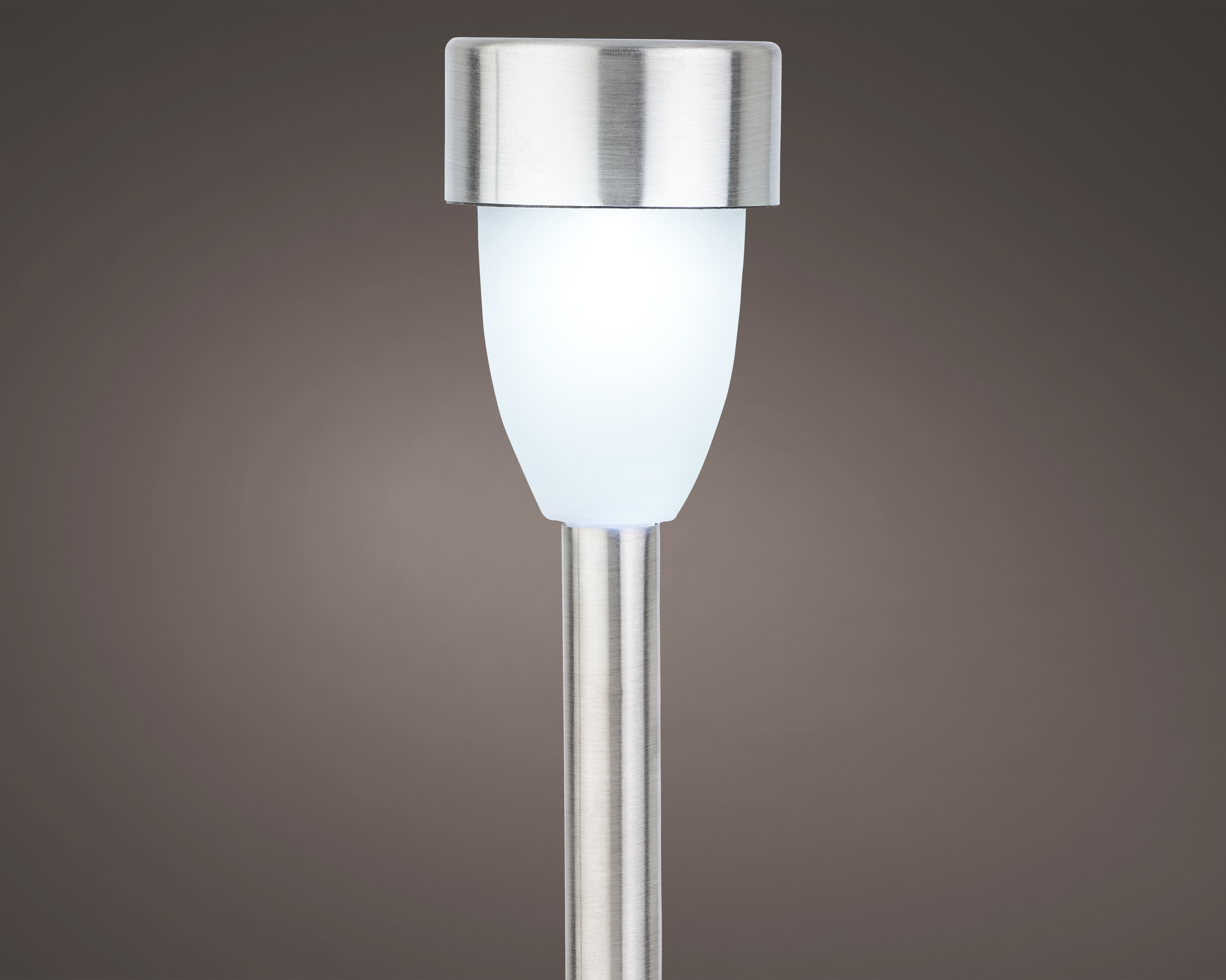 Tuinverlichting LED Solar RVS Koel Wit 36.5 cm