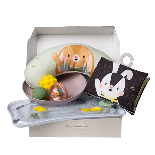 Taf Toys Tummy Time Essentials Kit - Kussen-Boek-Watermat-Dienblad