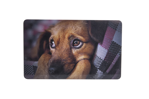 Ricolor Snijplank Ontbijtplank Puppy 23.5x14 cm