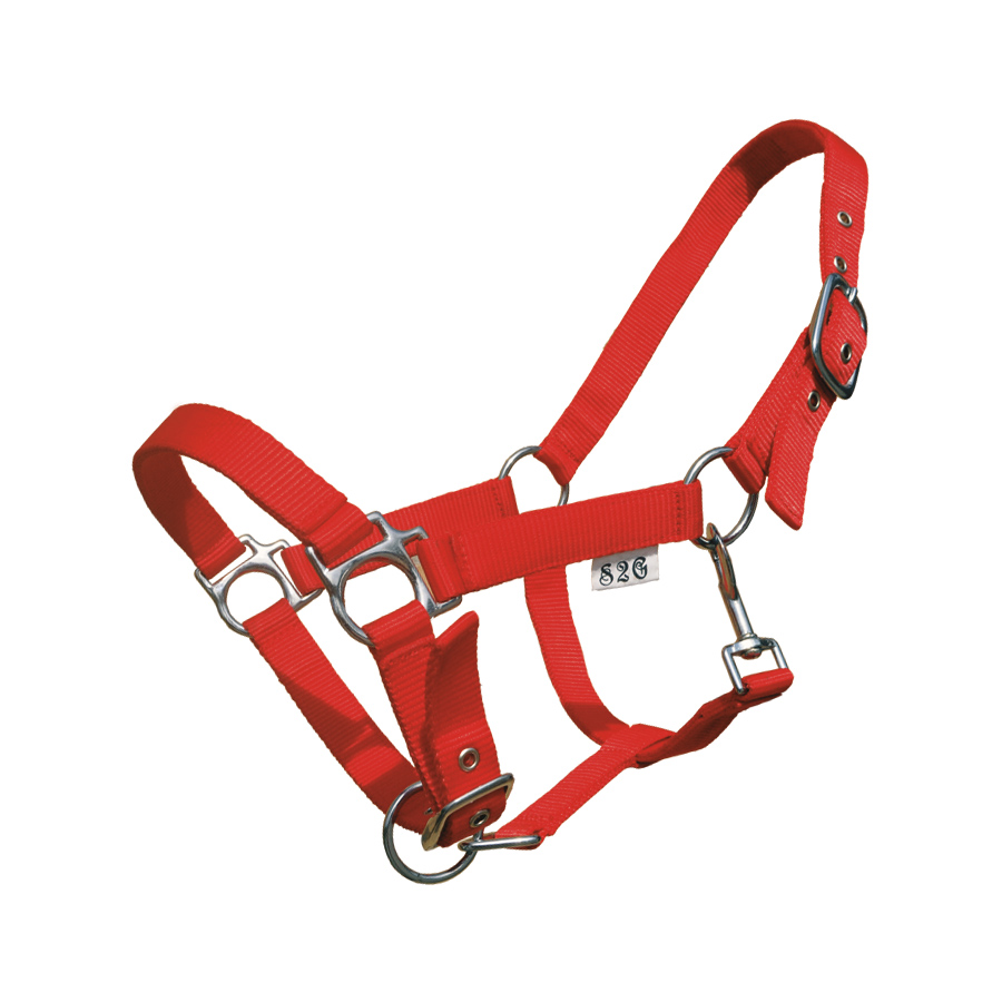 Halster Nylon Standaard met Gaatjesgesp Full - Rood