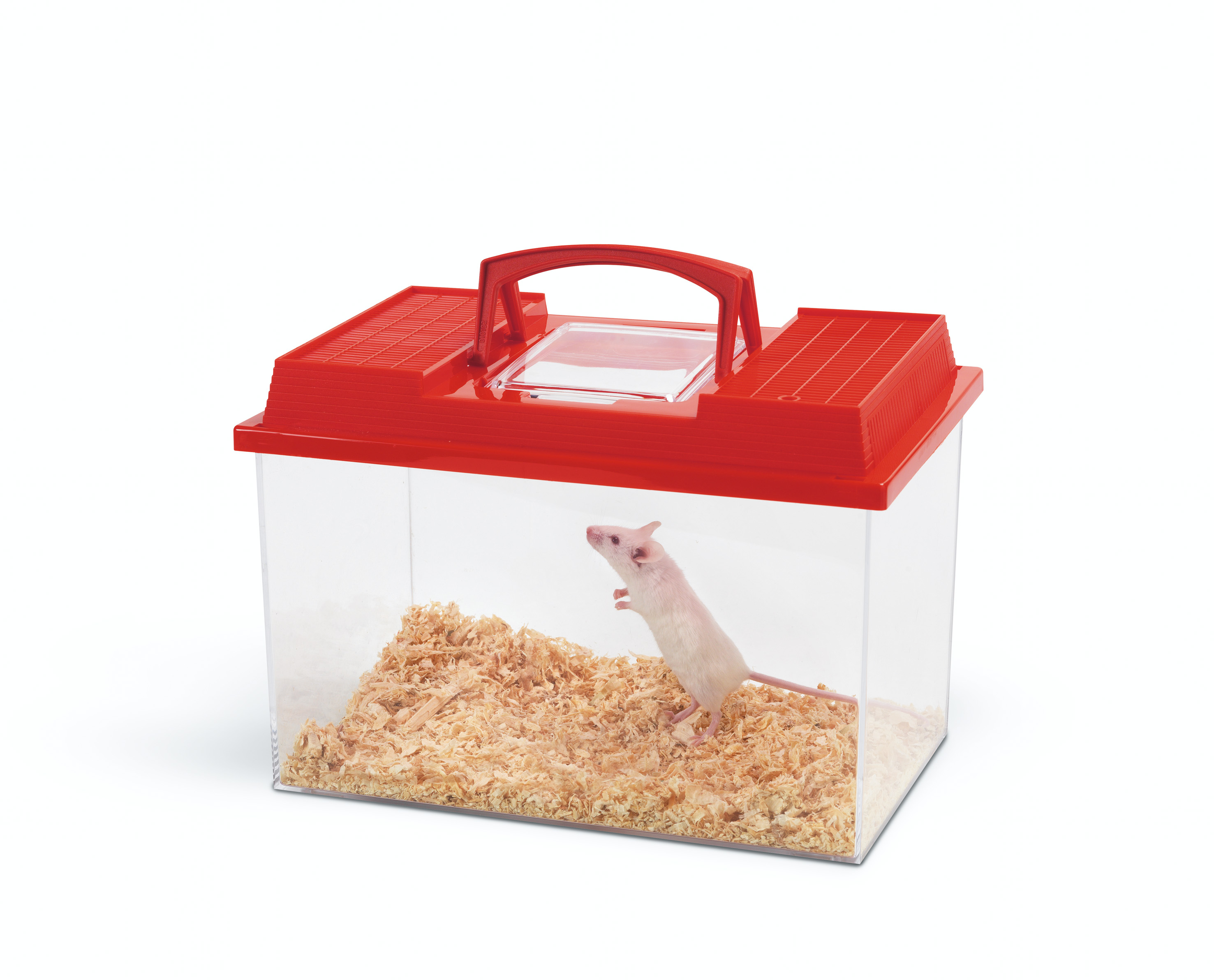 Savic Faunabox Reptiel Assortiment 34 x 20 x 22 cm - 10 Liter