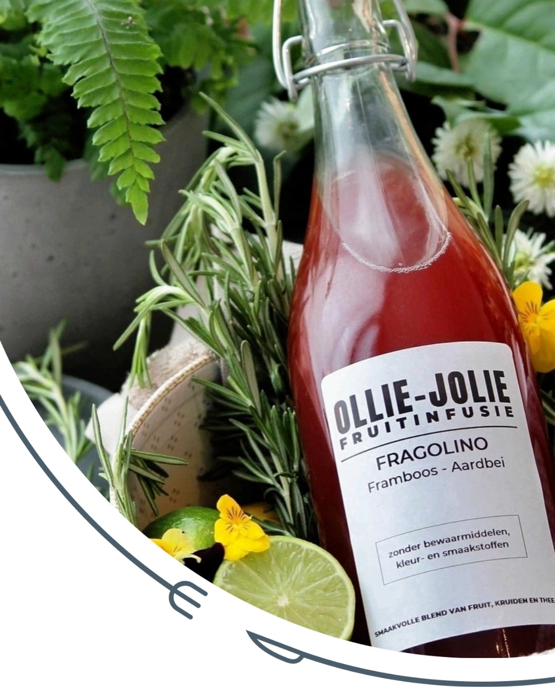 Ollie-Jolie Fruitinfusie Beugelfles 1 l Fragolino - Framboos & Aardbei
