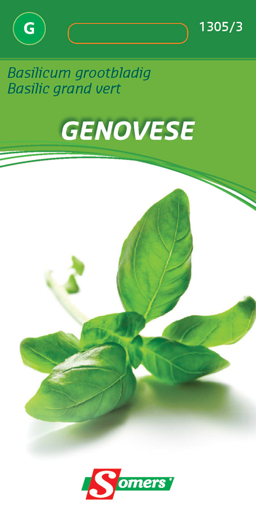 Somers Basilicum Grootbladig