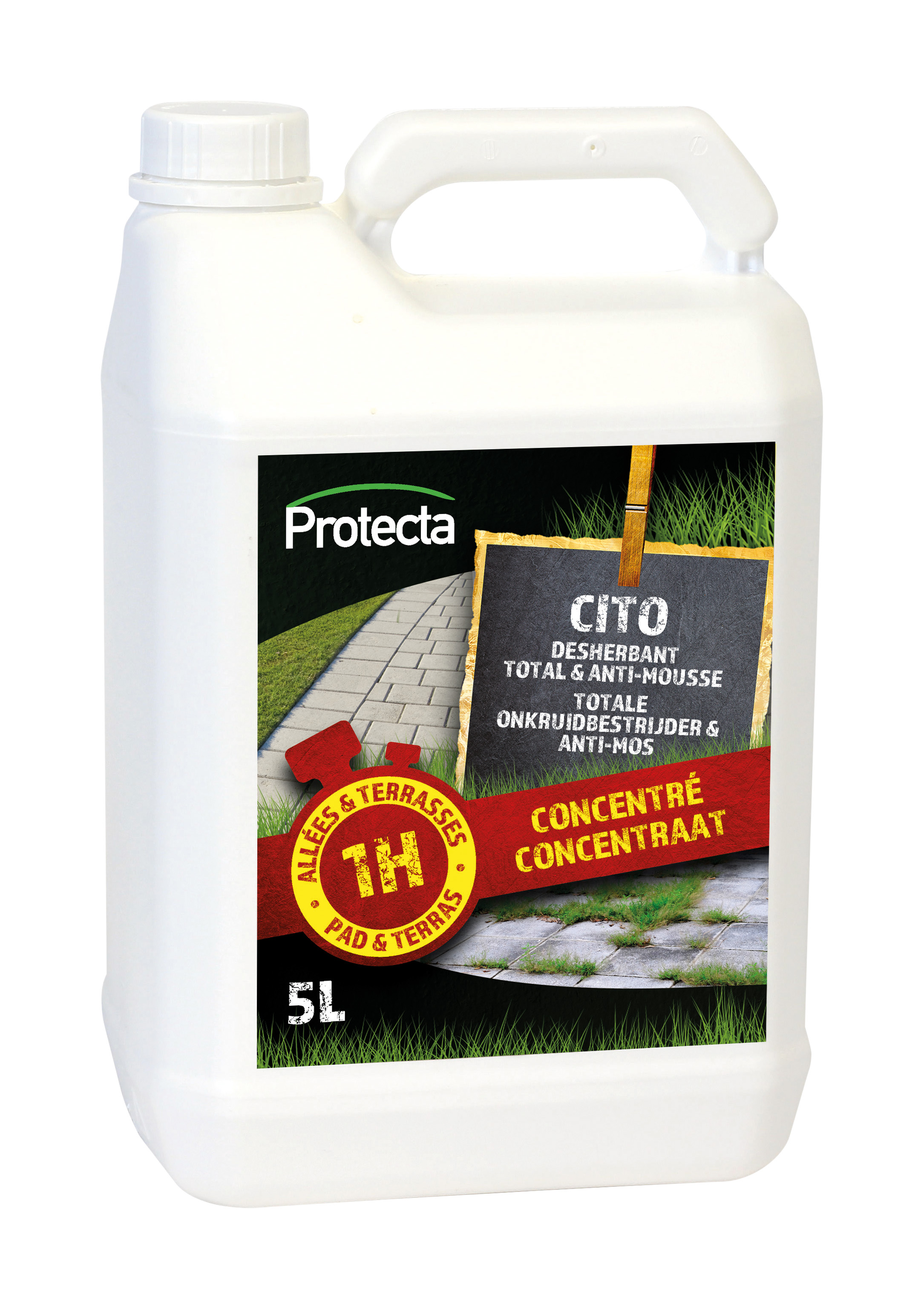 Protecta Cito Totaalherbicide 5 l doodt Onkruid en Mos - 240g/l Azijnzuur
