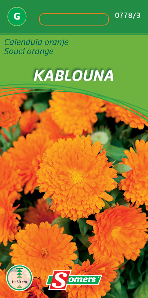 Somers Calendula Kablouna Oranje met Zwart Hart