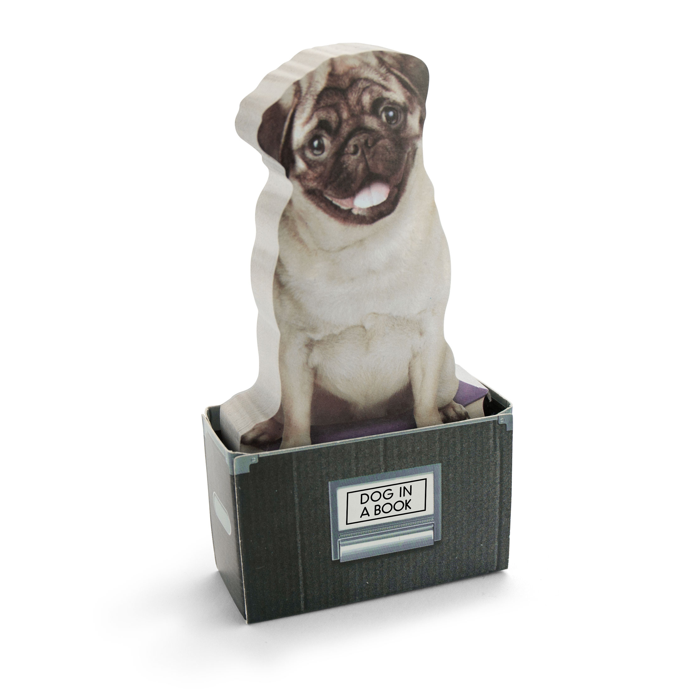 Mustard Notitieblok Dog In A Box 150 Notitieblaadjes