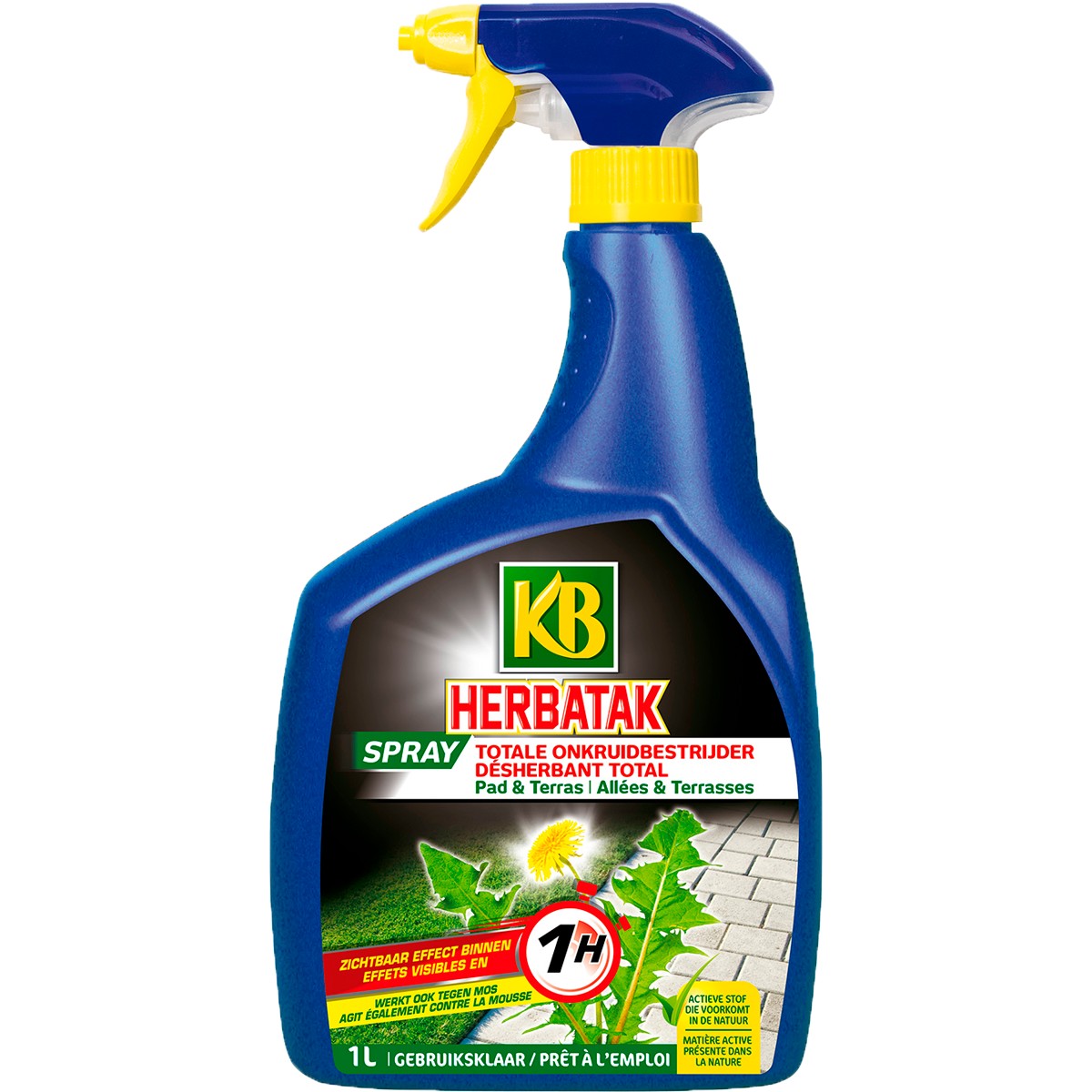 KB Herbatak Pad en Terras 1000 ml Onkruidbestrijder Kant en Klaar