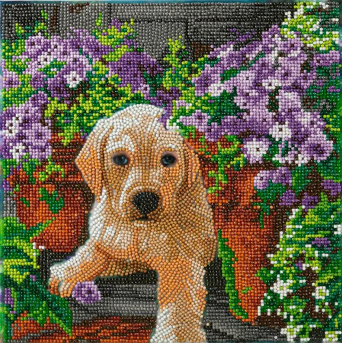 Crystal Art Framed Canvas Kit 30 x 30 cm - Froral pup Crystal Art Framed Canvas Kit 30 x 30 cm - Froral pup
