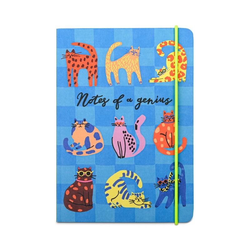 Hijinx Notebook Notes Of A Genius - Cats