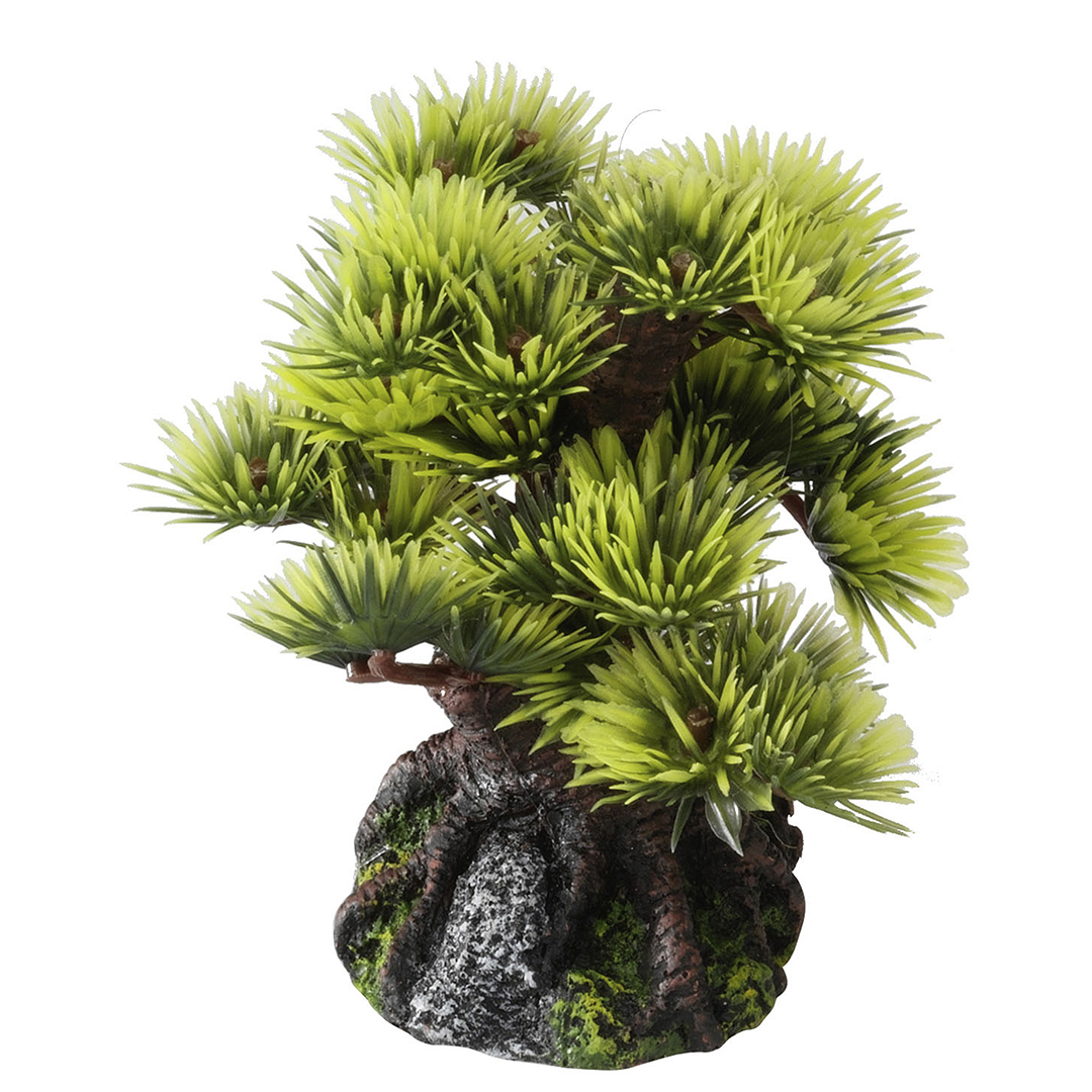 Aqua Della Bonsai Mini Sort 9.5 cm Aqua D Ella