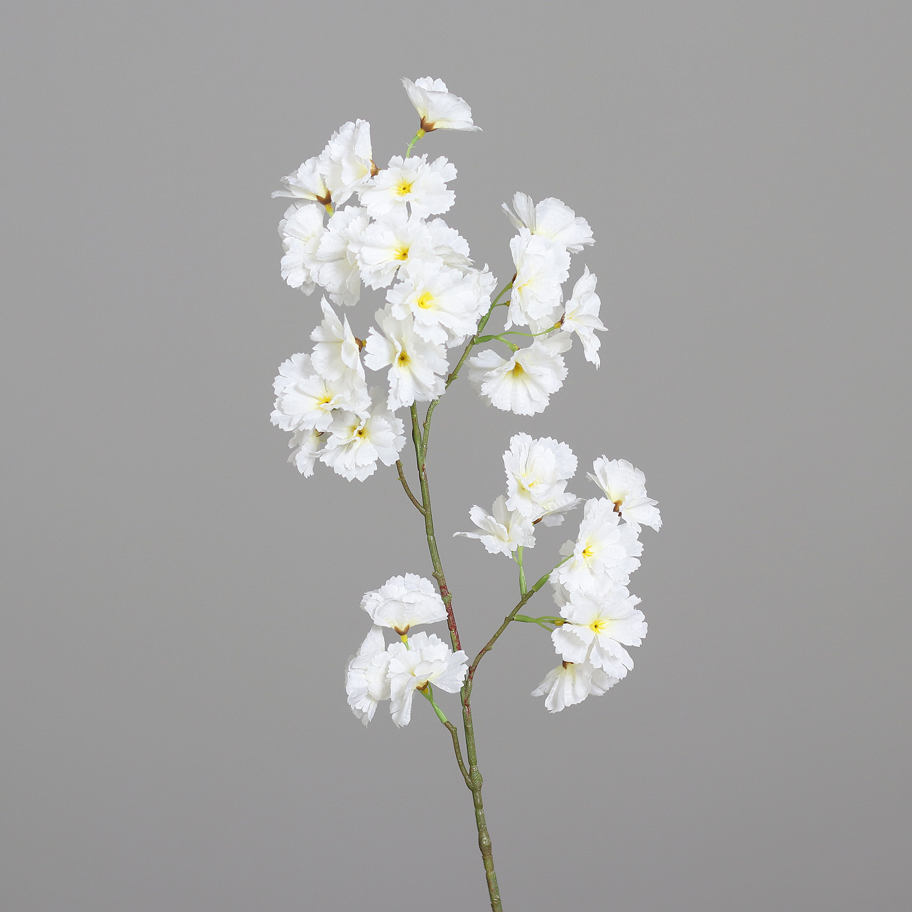 Kersenbloesem Creme Tak 78cm