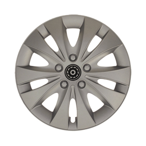 Wieldop storm zilver 13