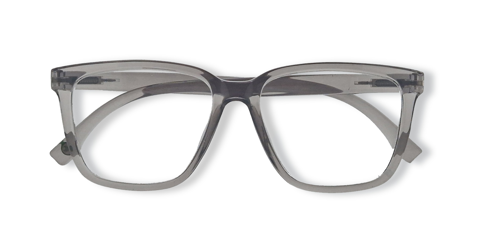 Ear2Ear Leesbril Newton 10 2.50