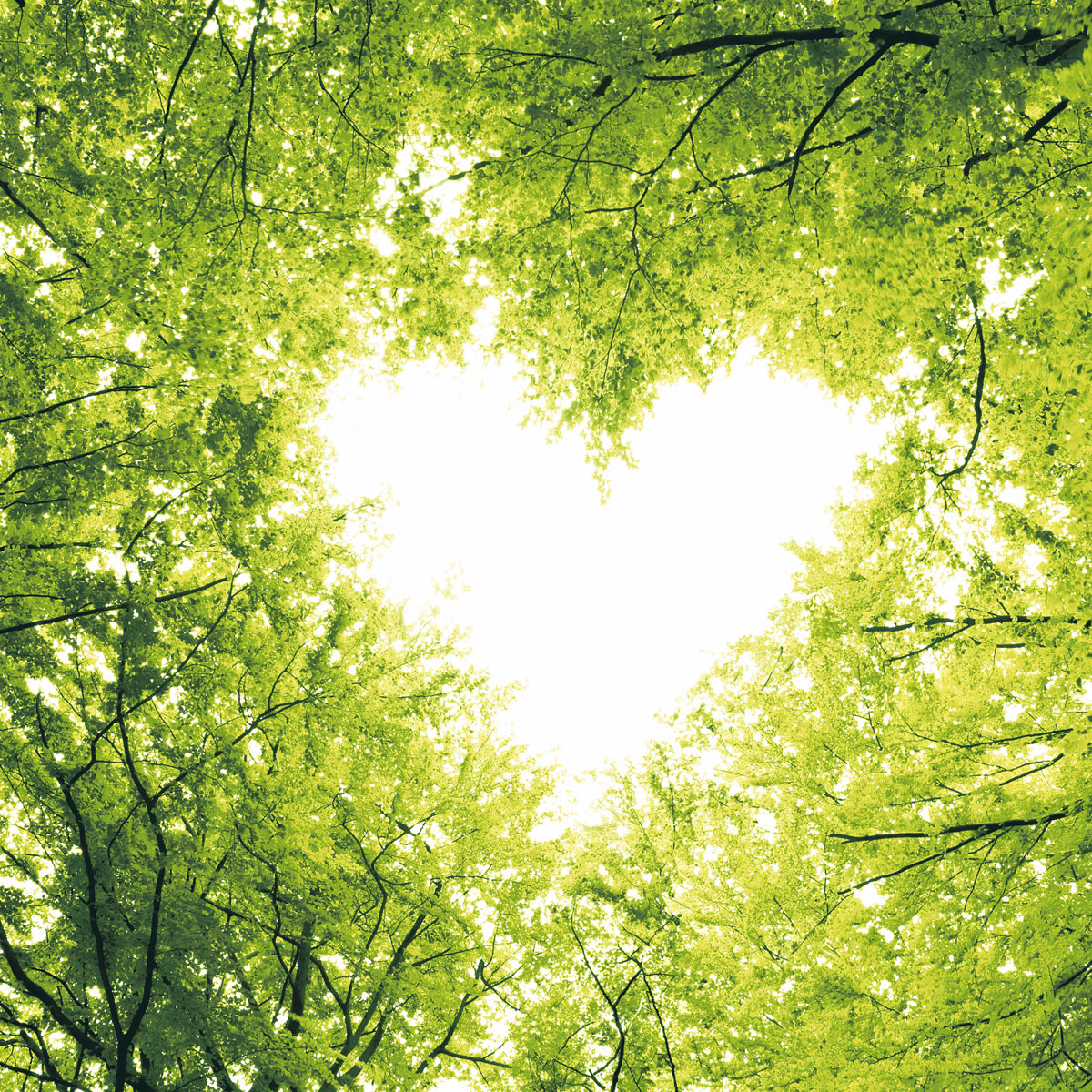 Duni Servetten 33X33 cm Nature Love - 20 stuks