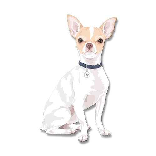 Dogdogo Buddy Magneet S Chihuahua