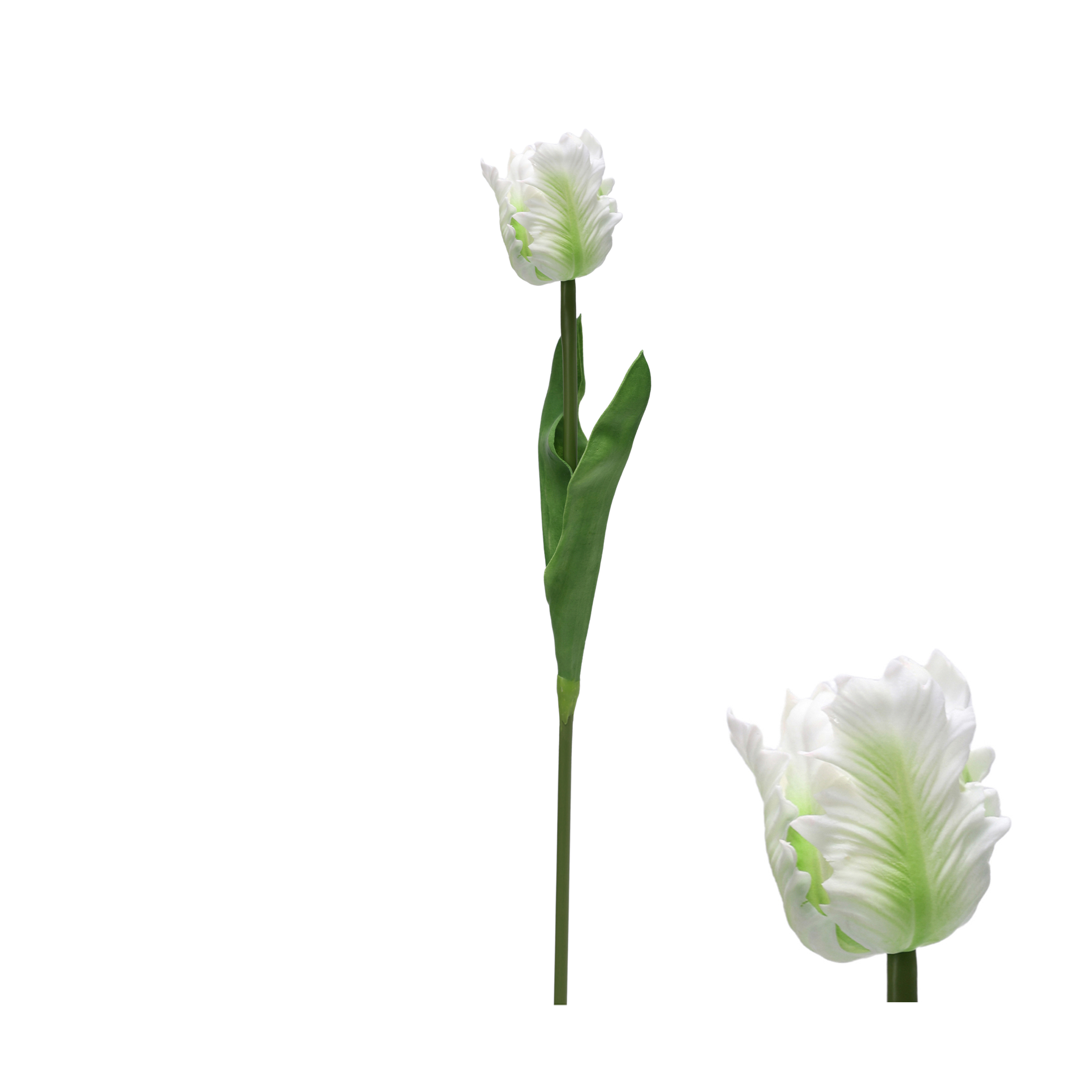 Tulp Wit 64cm