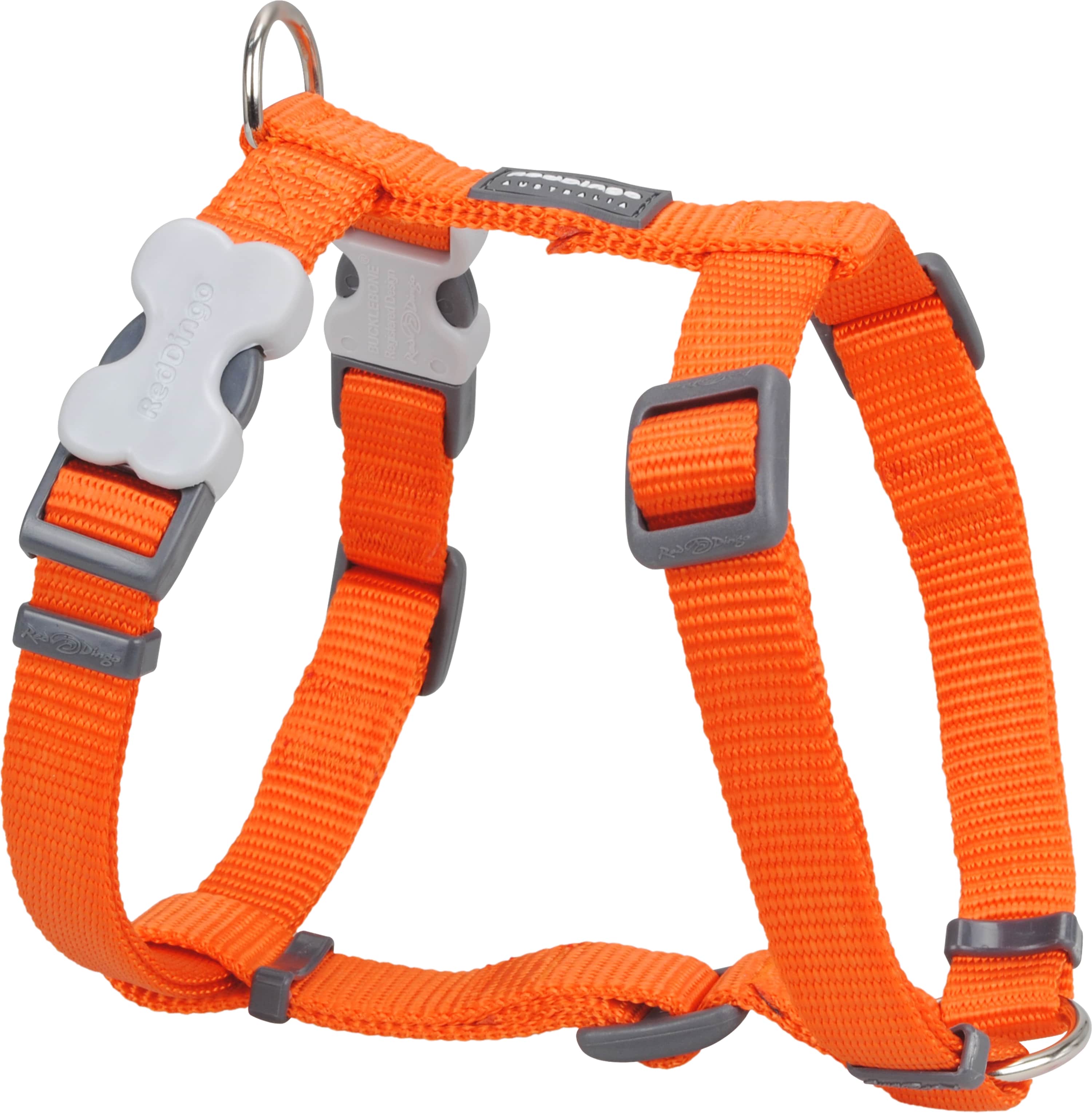 Red Dingo Harnas Oranje-XS