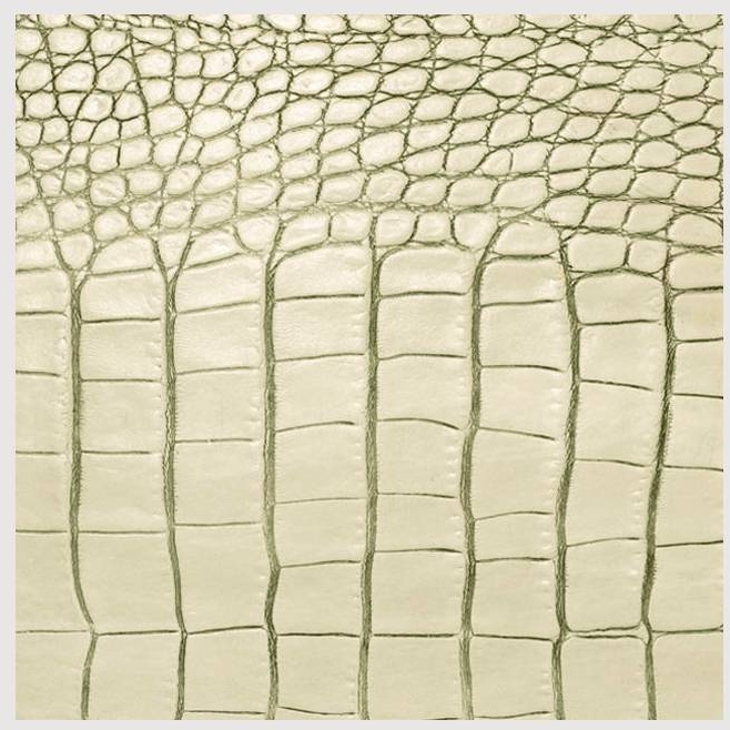 Onderzetter Leer Gator - 10x10cm DAFF Leatherixx - Ivory