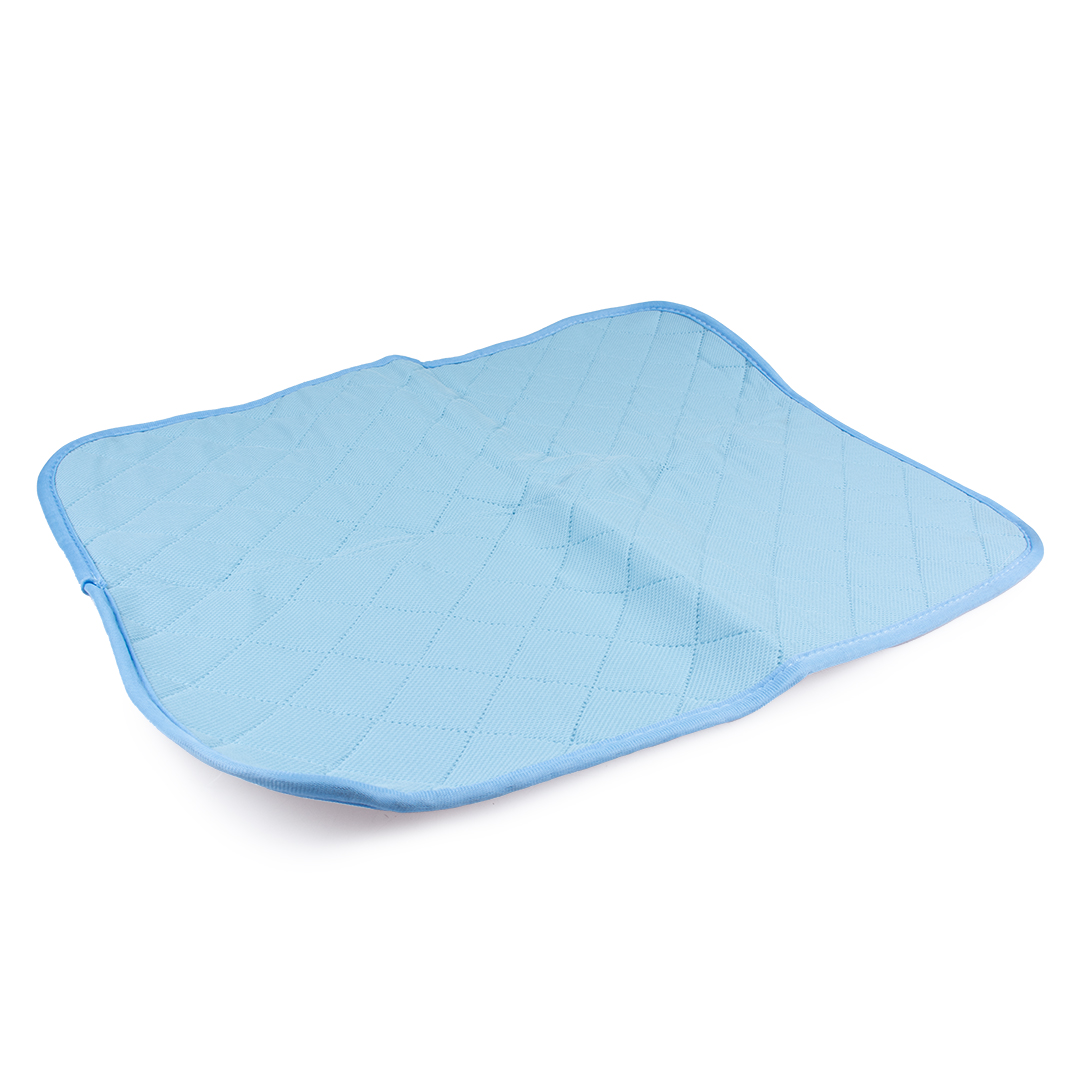 Eco Wasbare Trainigsmat Blauw 100 x 68 cm