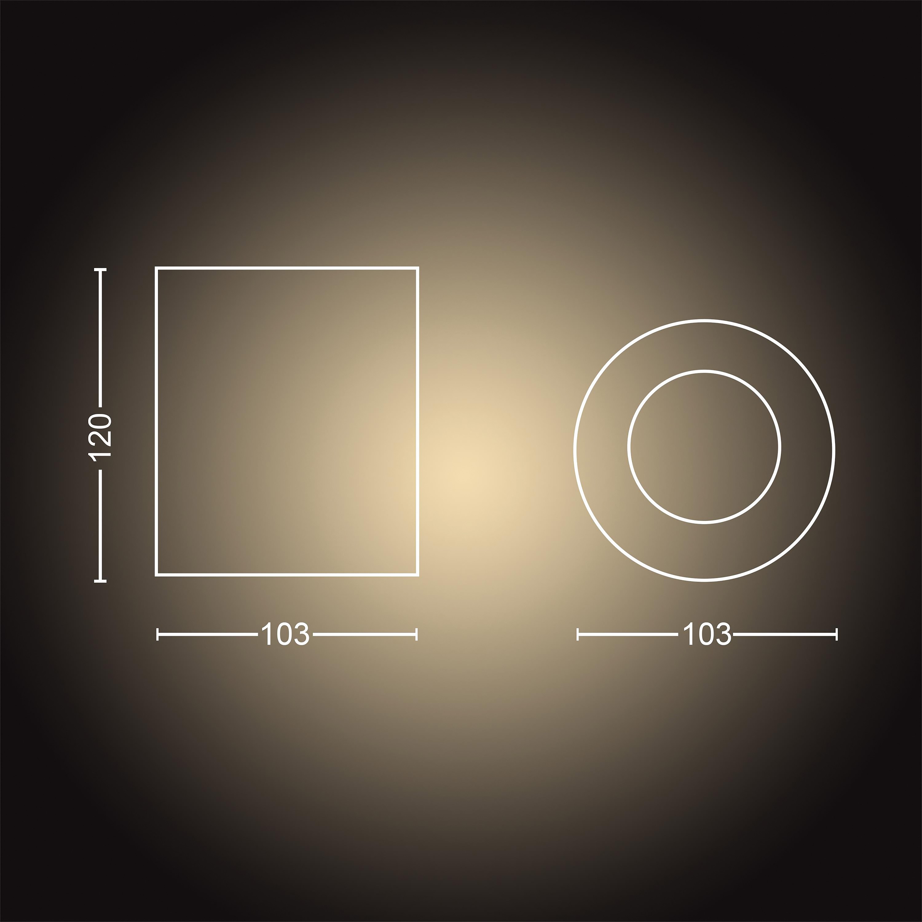 Philips Hue Opbouwspot Pillar Wit 1x GU10 5W White Ambiance Extension