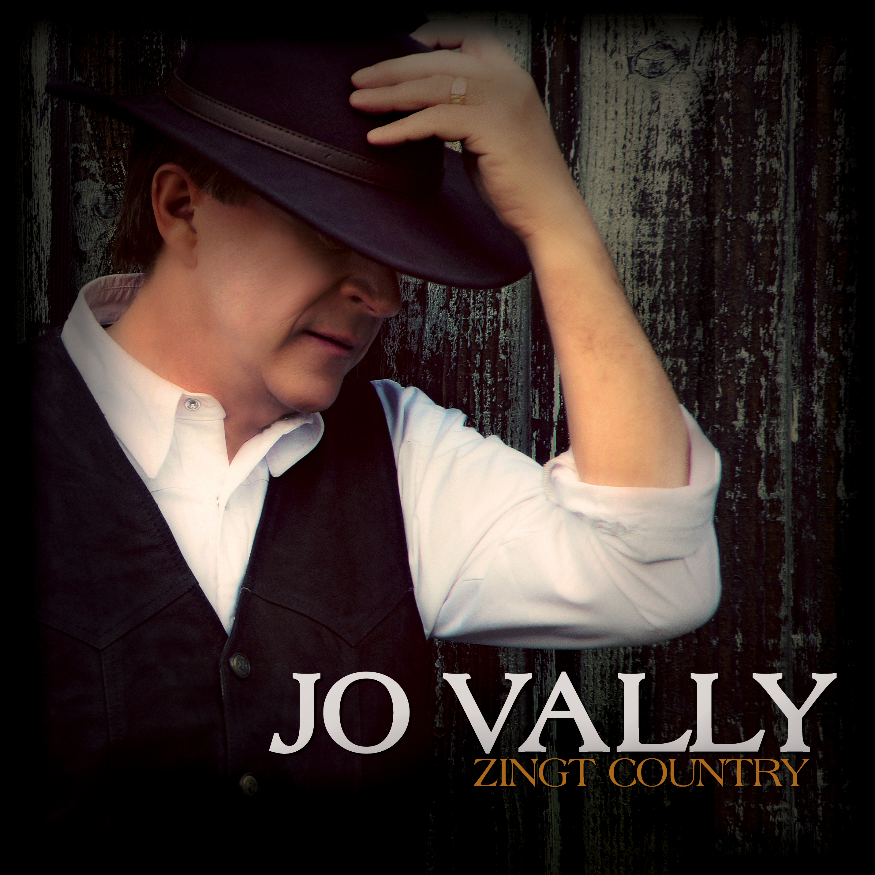 JO VALLY 1CD ZINGT COUNTRY
