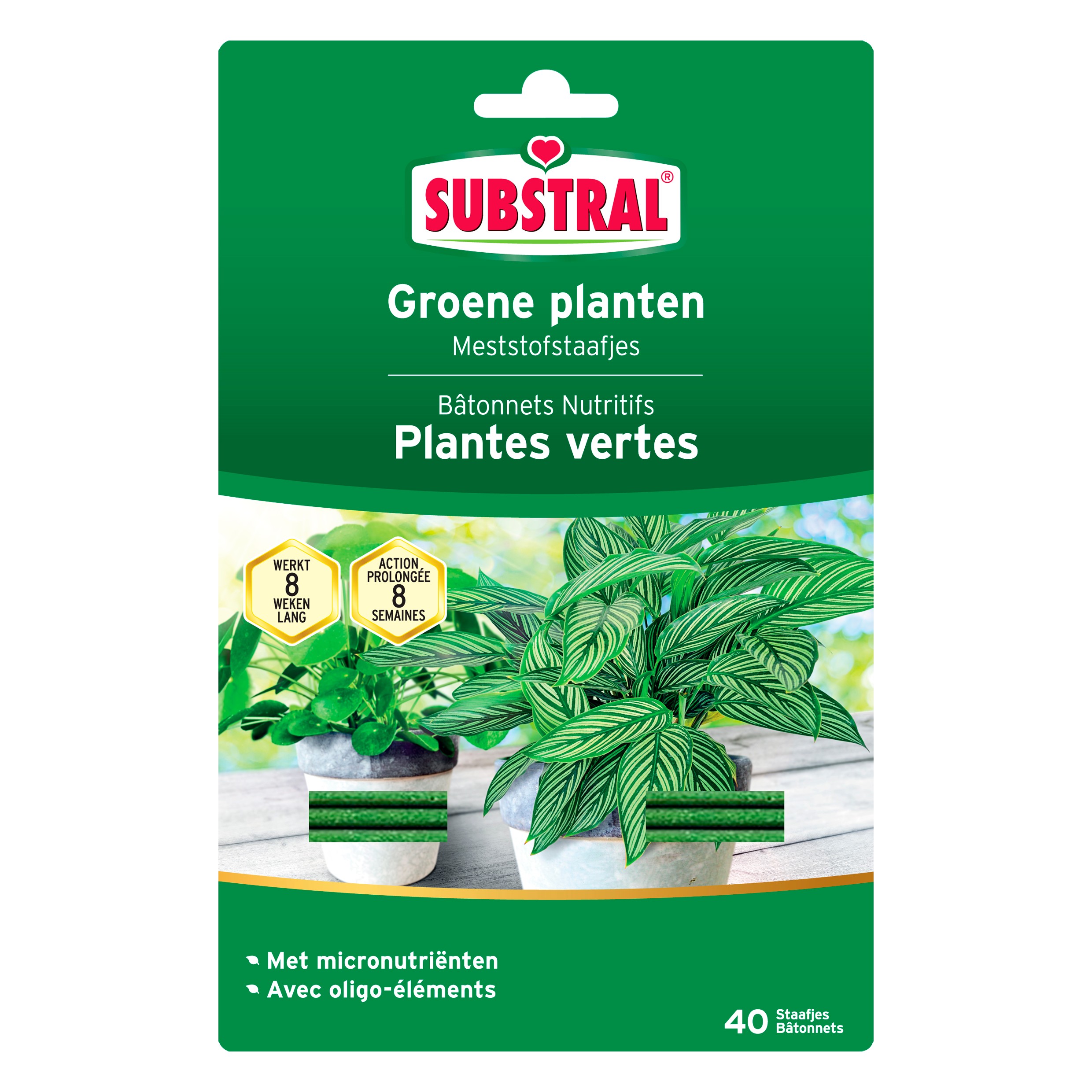 Substral Staafjes Kamerplanten 40 stuks