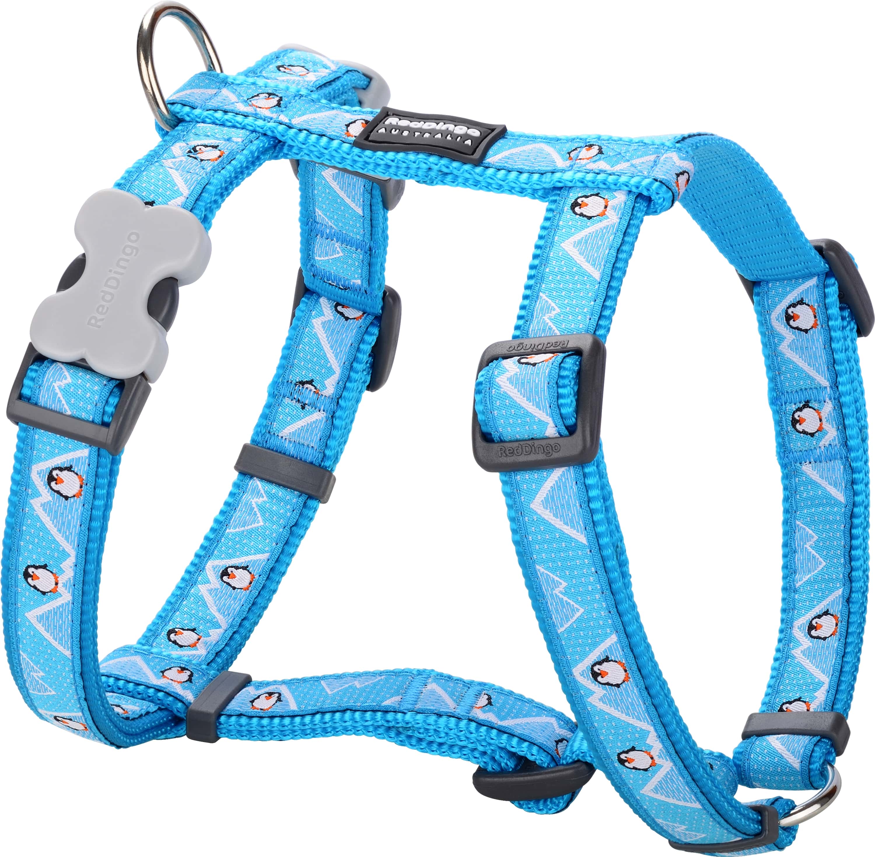 Red Dingo Harnas Penguin Turquoise-L