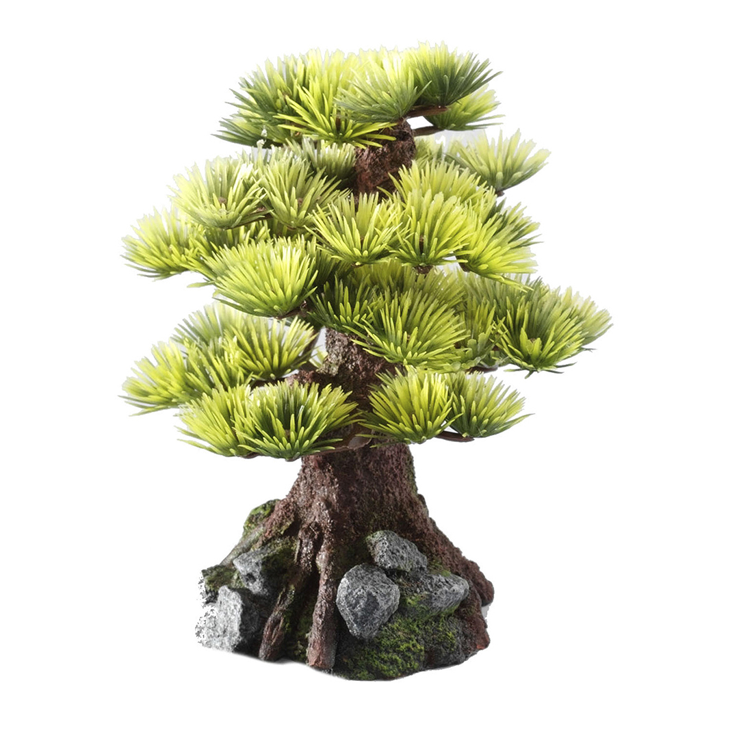 Aqua Della Bonsai Medio 15 cm Assorti