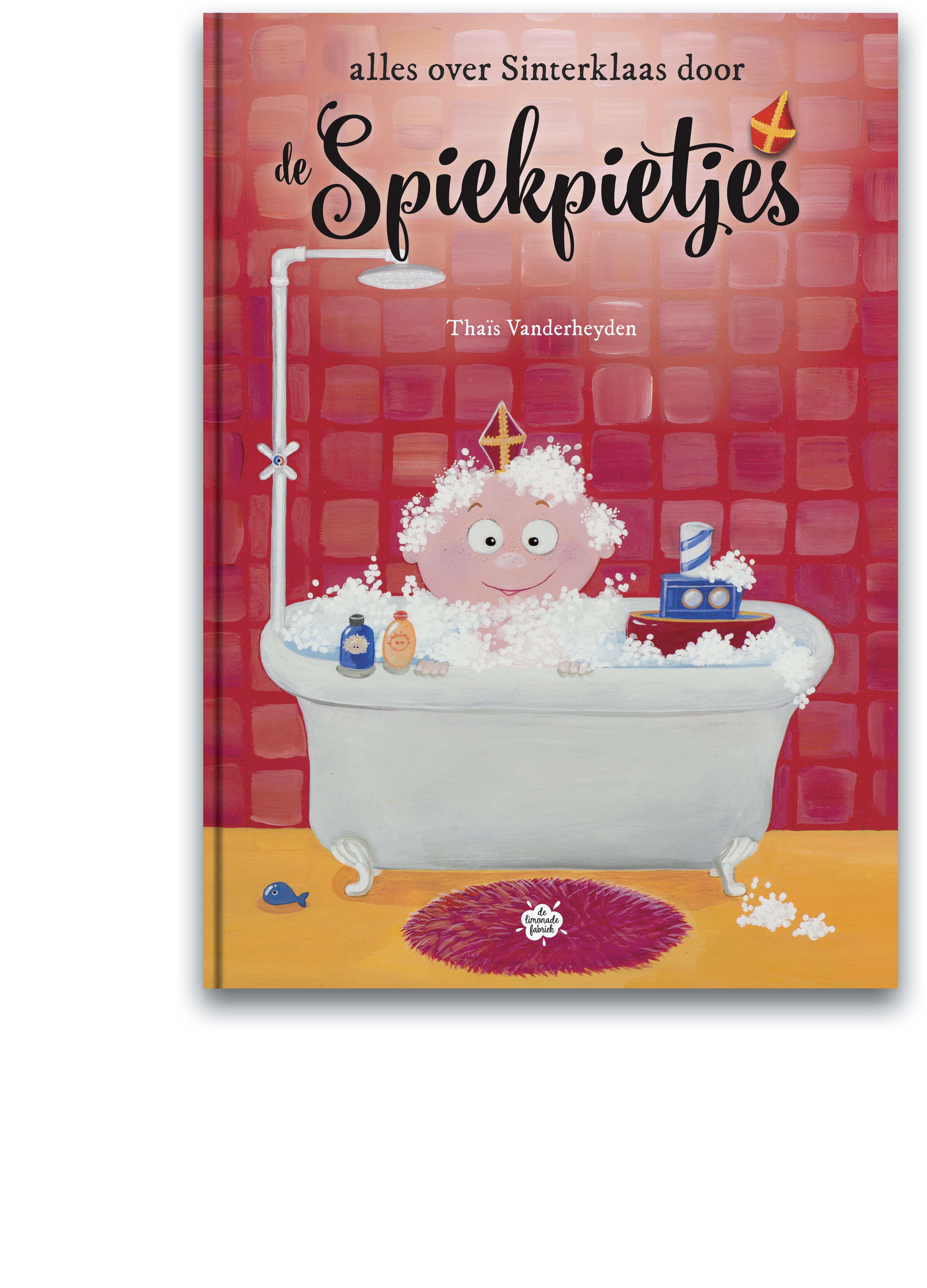 Alles over Sinterklaas door de Spiekpietjes