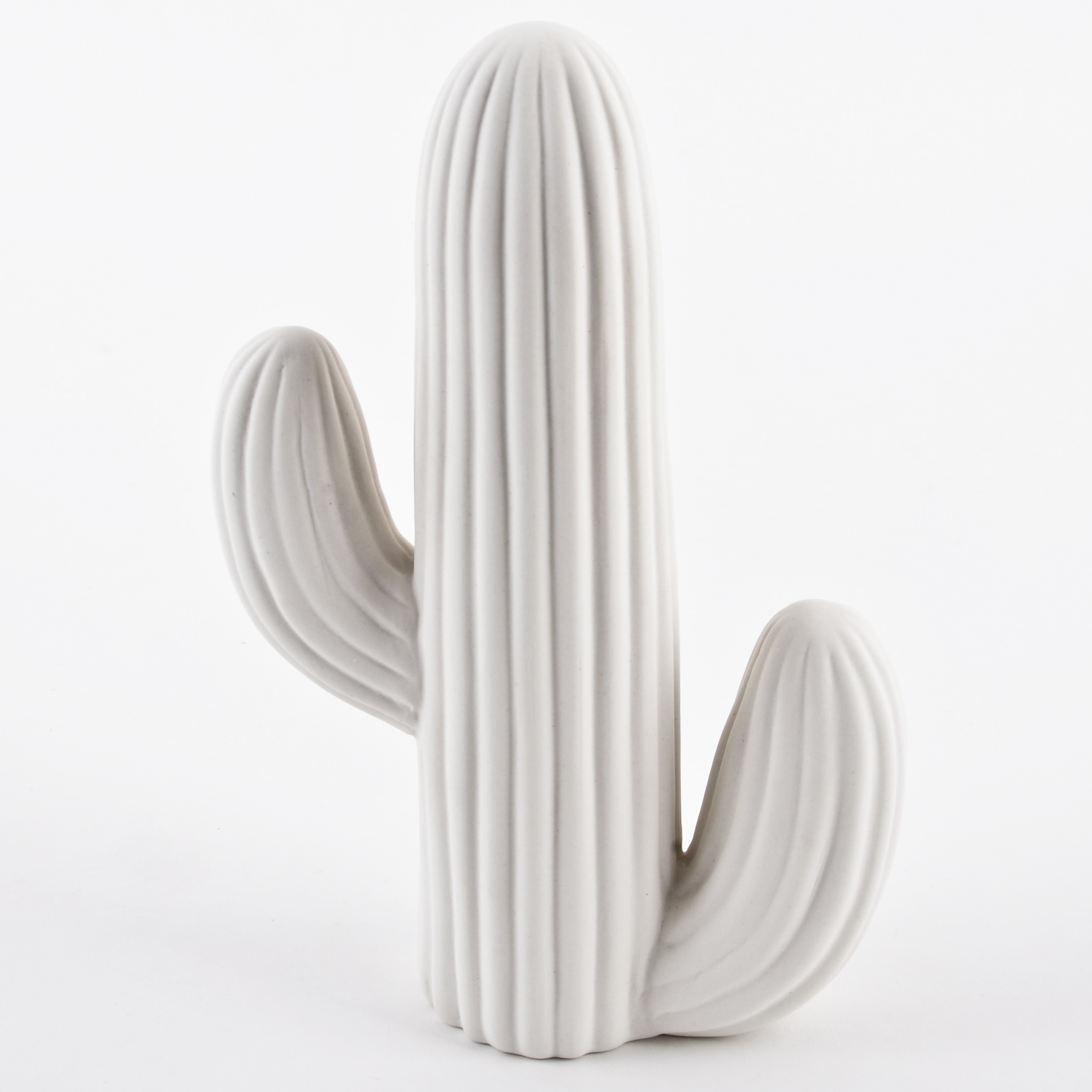 Cactus Staand - Porselein 24x16x6cm - Wit