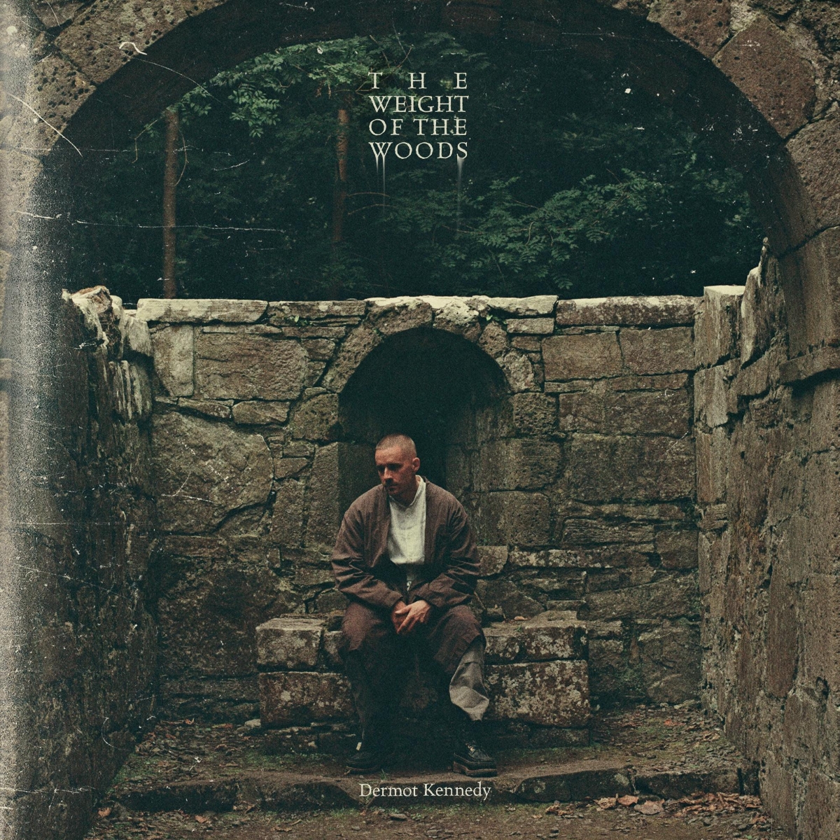 Dermot Kennedy - The Weight of The Woods LP