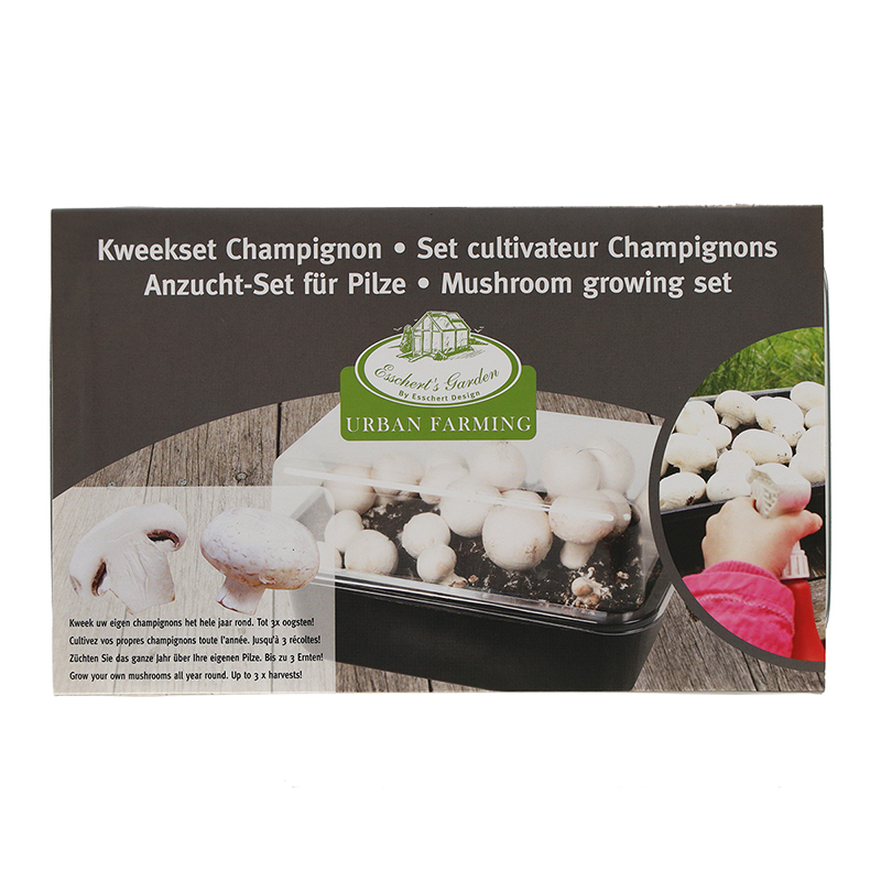 Esschert Kweekset Champignon 28,2 x 18 x 15,6 cm