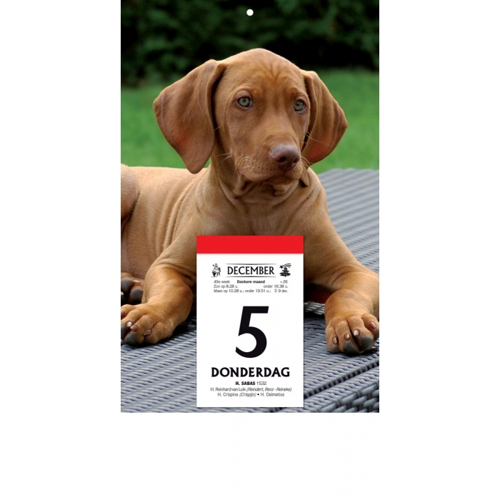 Rugschild voor De Druivelaar Standaard - assorti - Prijs per Stuk