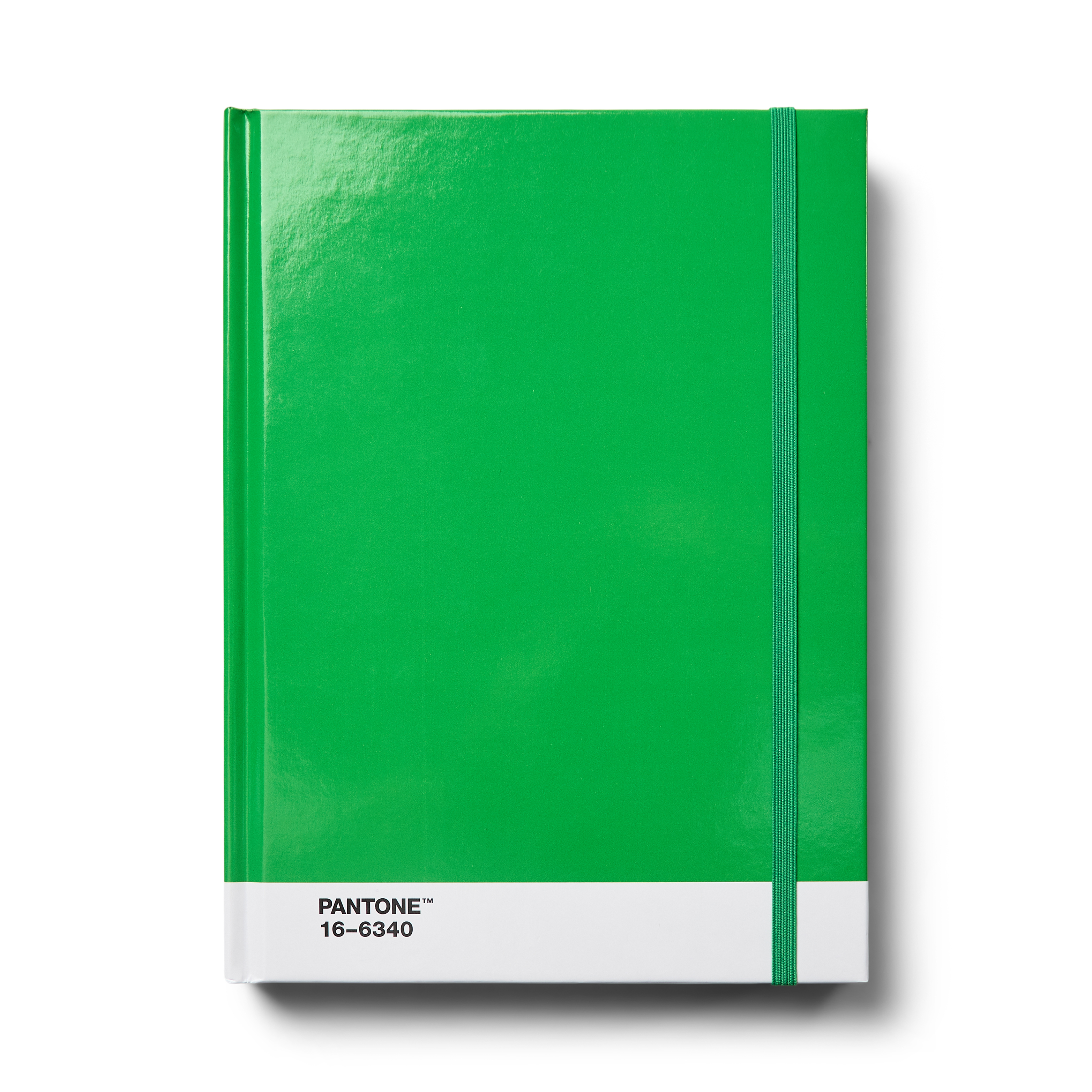 Pantone Notebook L Green - 22x17 cm - 190 blz - Dotted