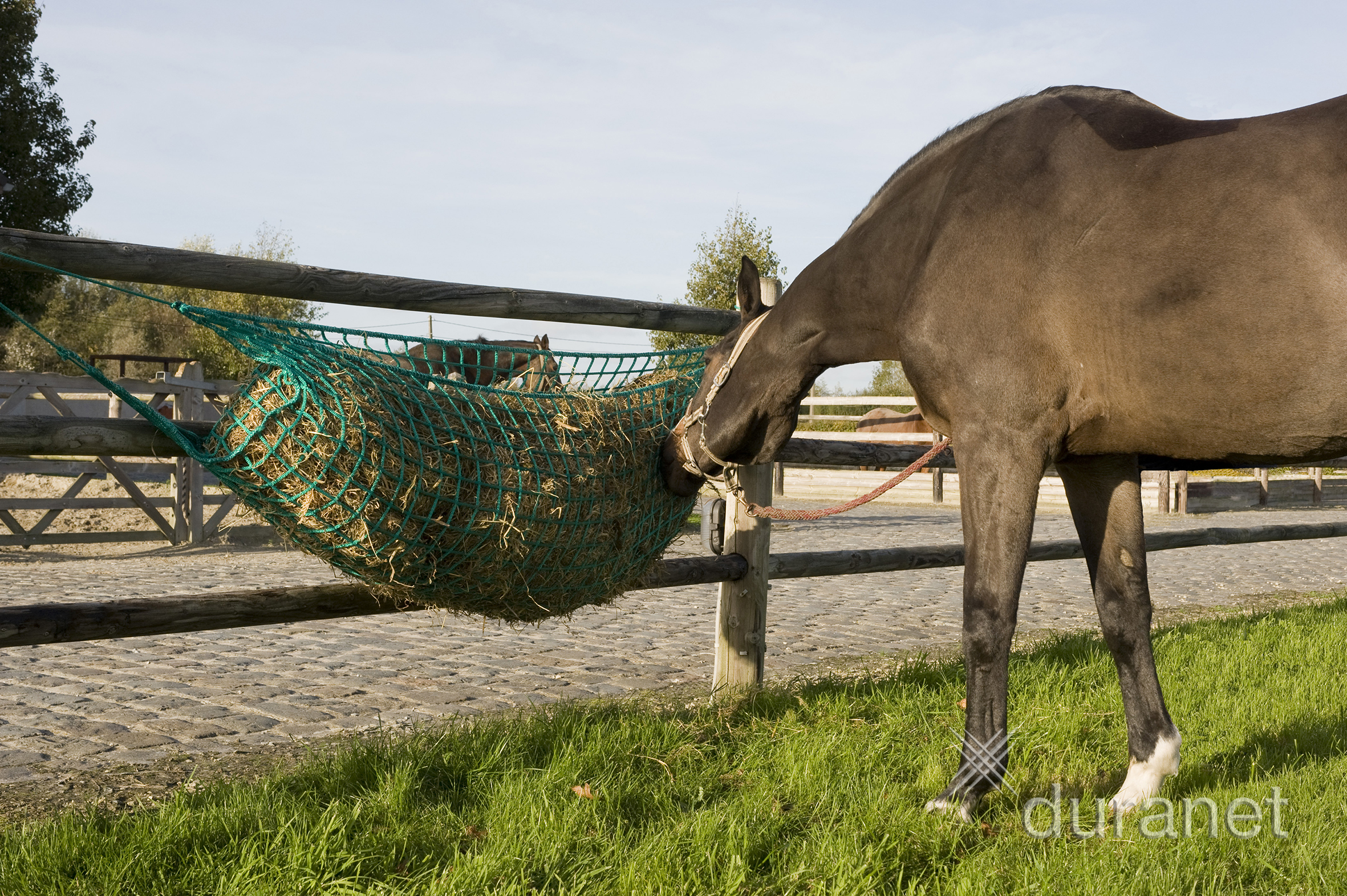 Hooinet Slowfeeder - Mazen van 45 mm 100x150 cm - met 4 Ophangkoorden