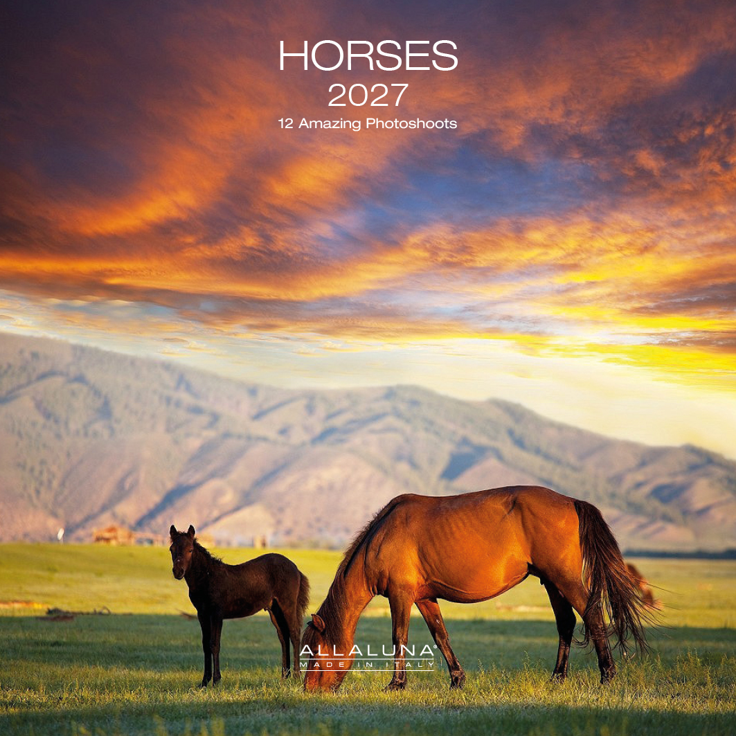 Kalender 2027 Horses 18x18 cm