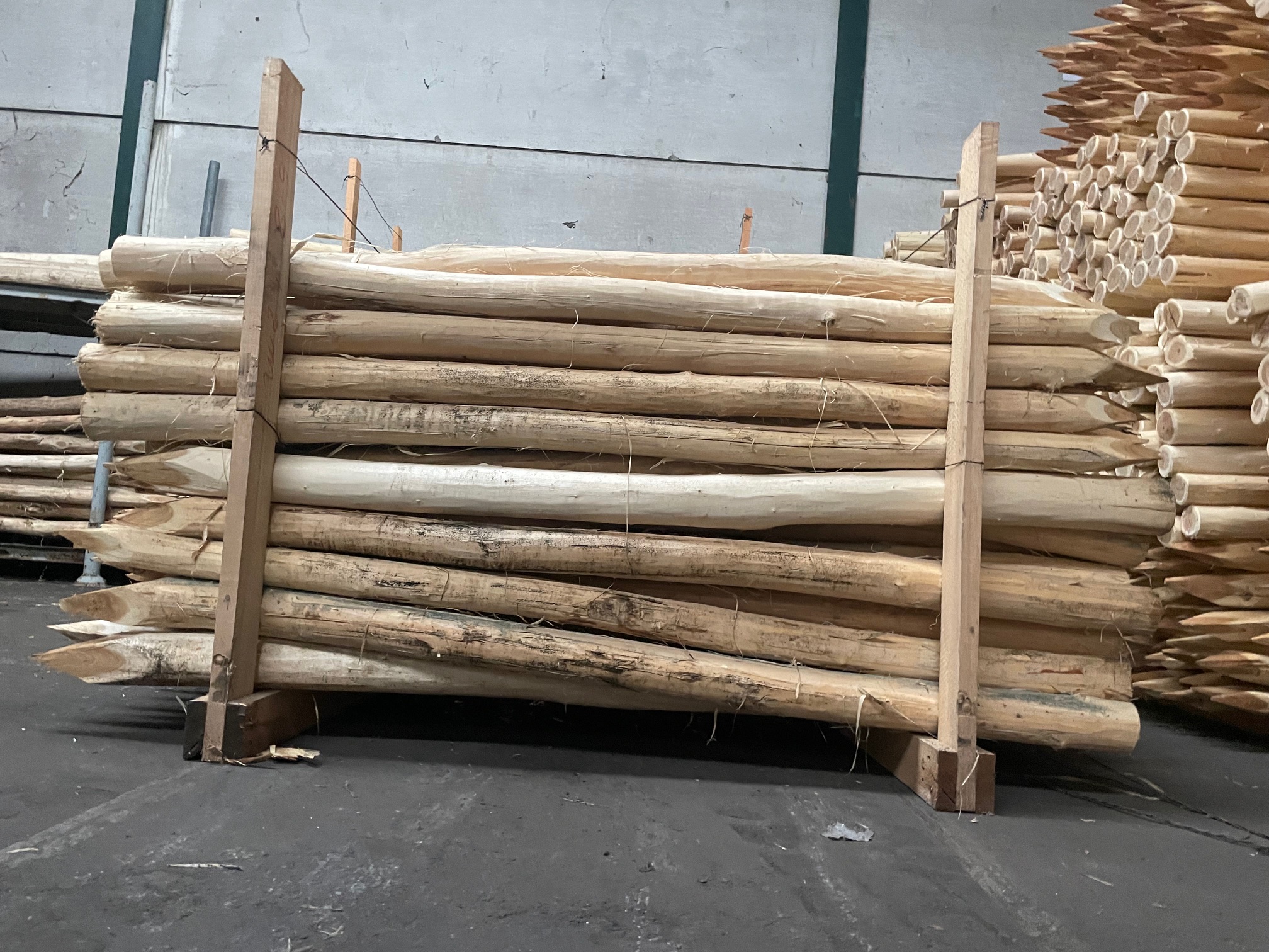 Acaciapaal 180cm Diam 6/8