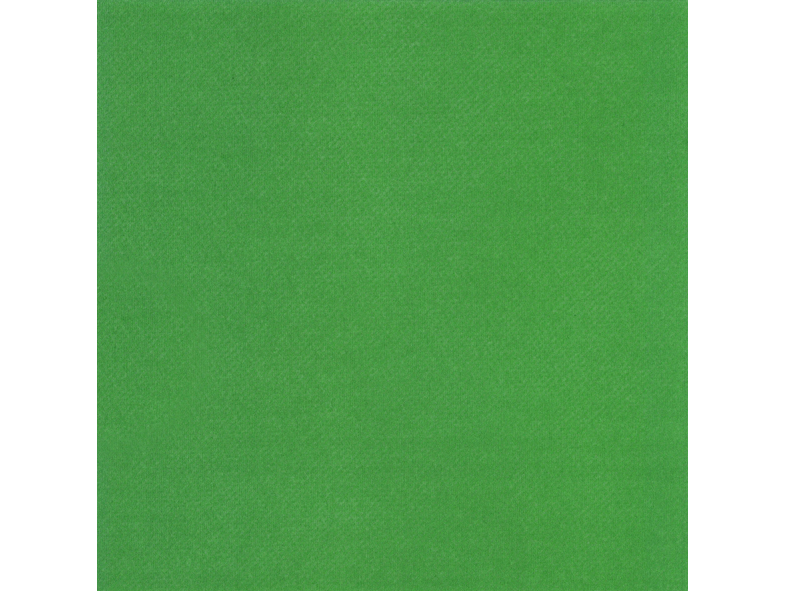 Ihr Dinnerservetten 40x40 cm 12 stuks Uni - Airlaid Groen