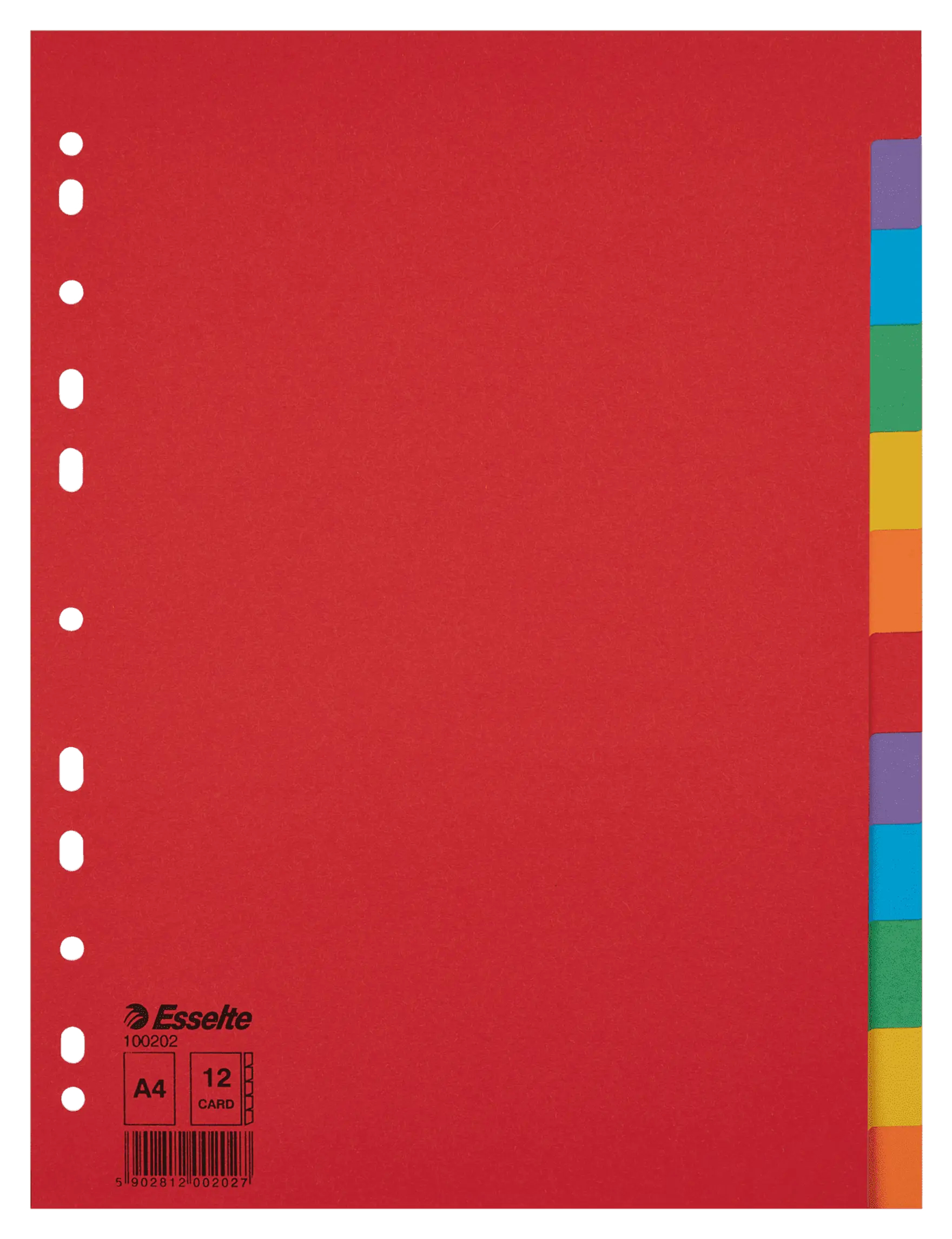 Esselte Tabbladen A4 - 12 Kleurtabs - Karton 150 g