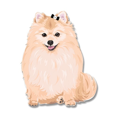 Dogdogo Buddy Magneet S Pomeranian