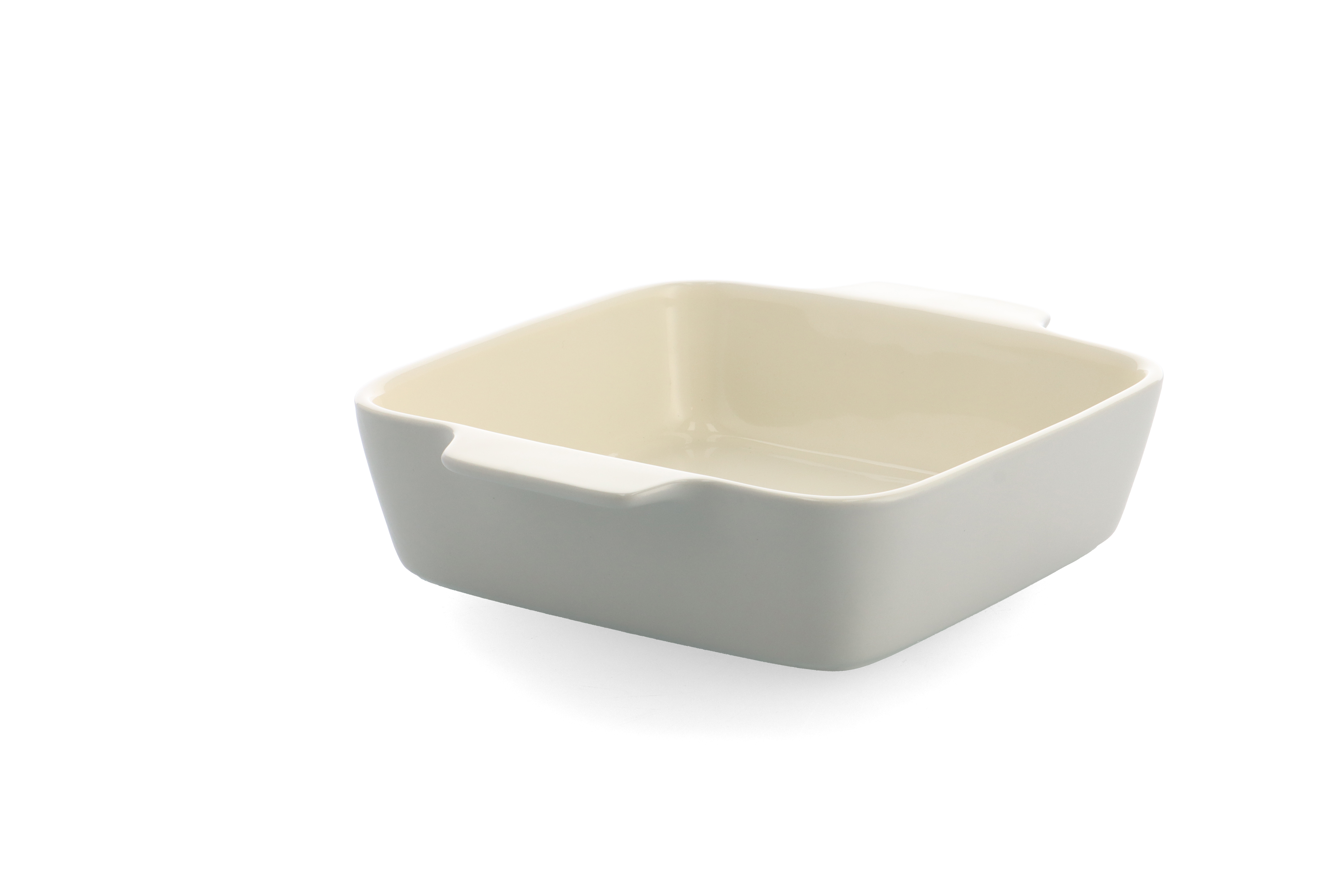 Dagelijkse Kost Ovenschaal Proline 25x22 cm